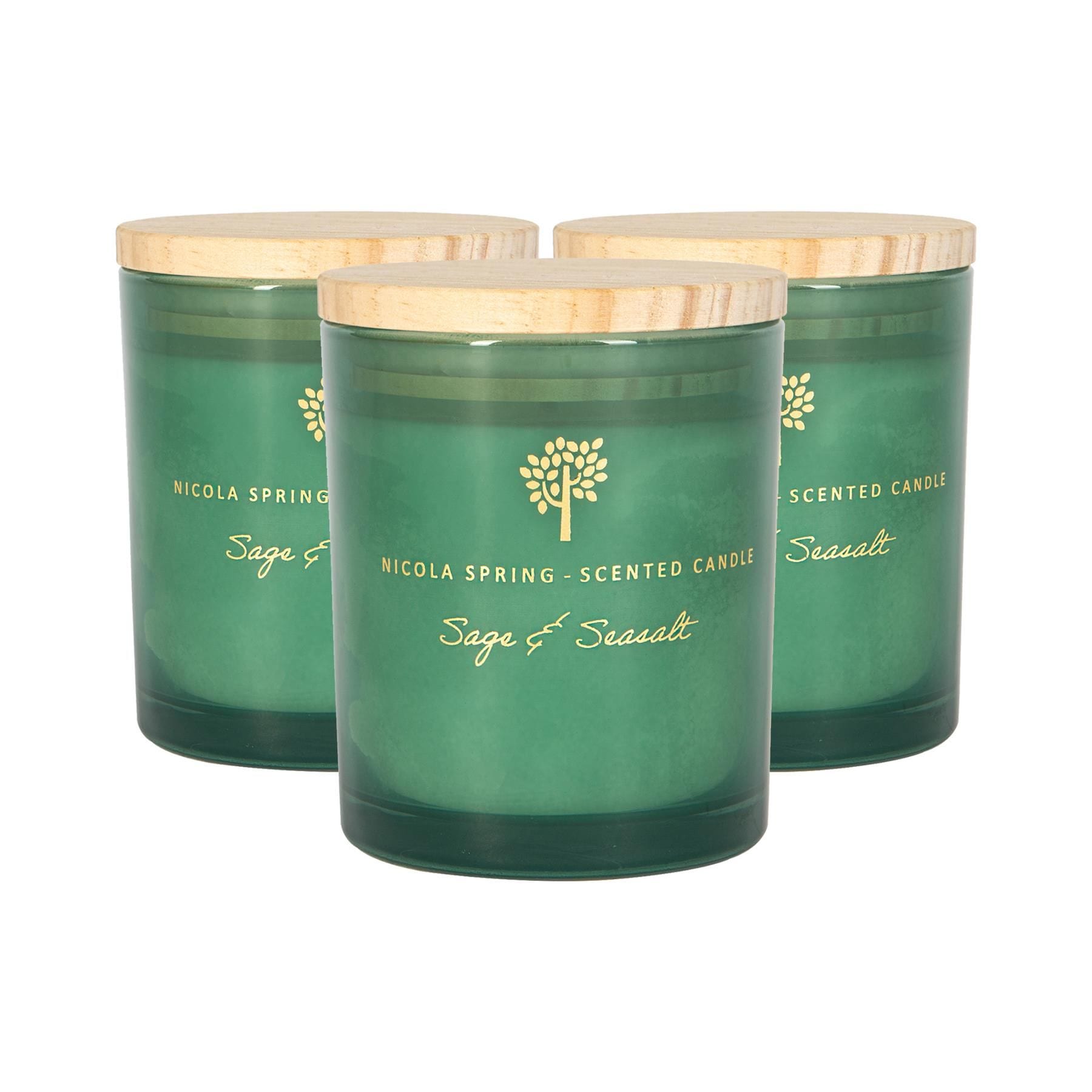 Nicola Spring 130g Sage & Seasalt Soy Candles - Pack of 3 - Herbal Spa Glass Jars image 1