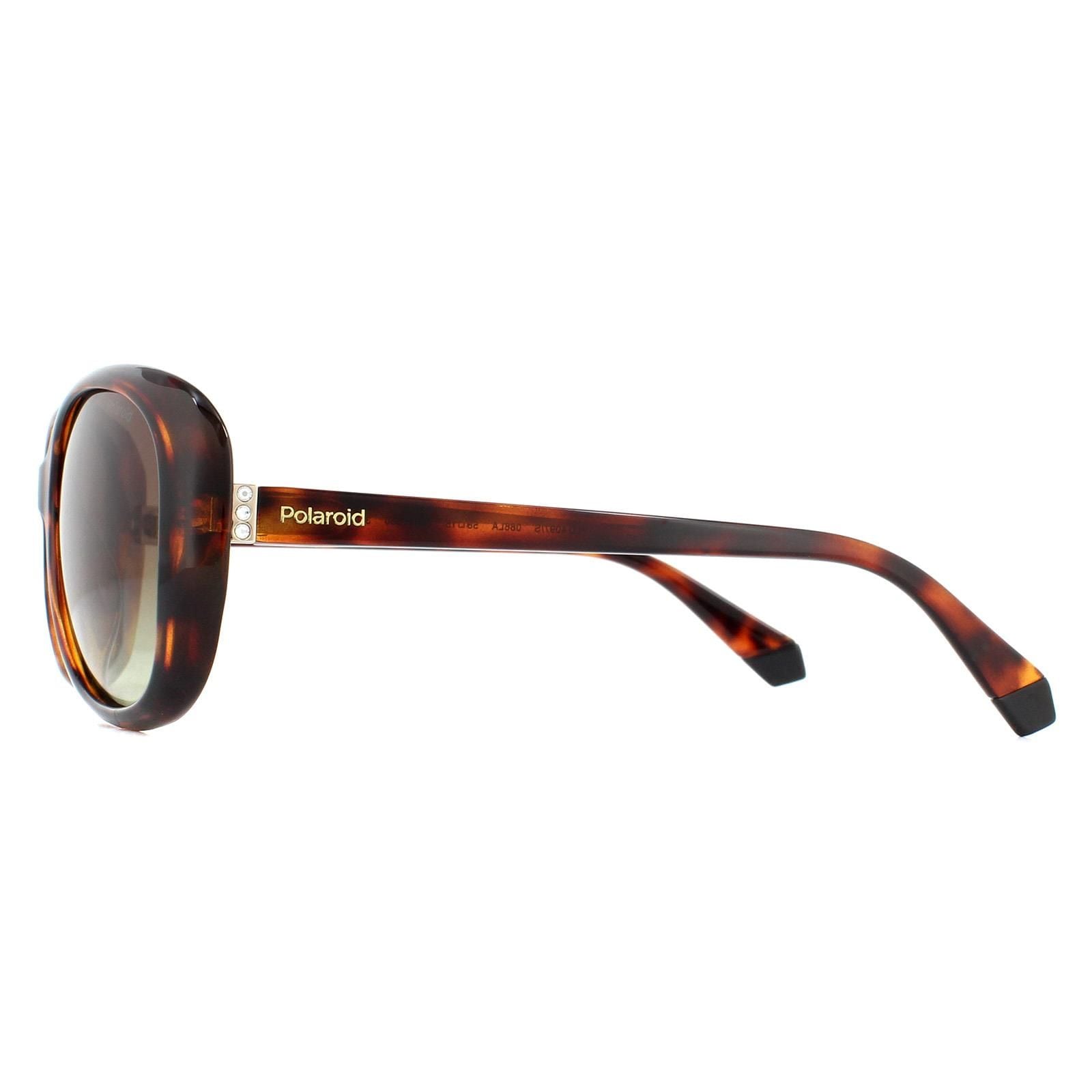 Polaroid Fashion Havana Brown Gradient Polarized Sunglasses image 3