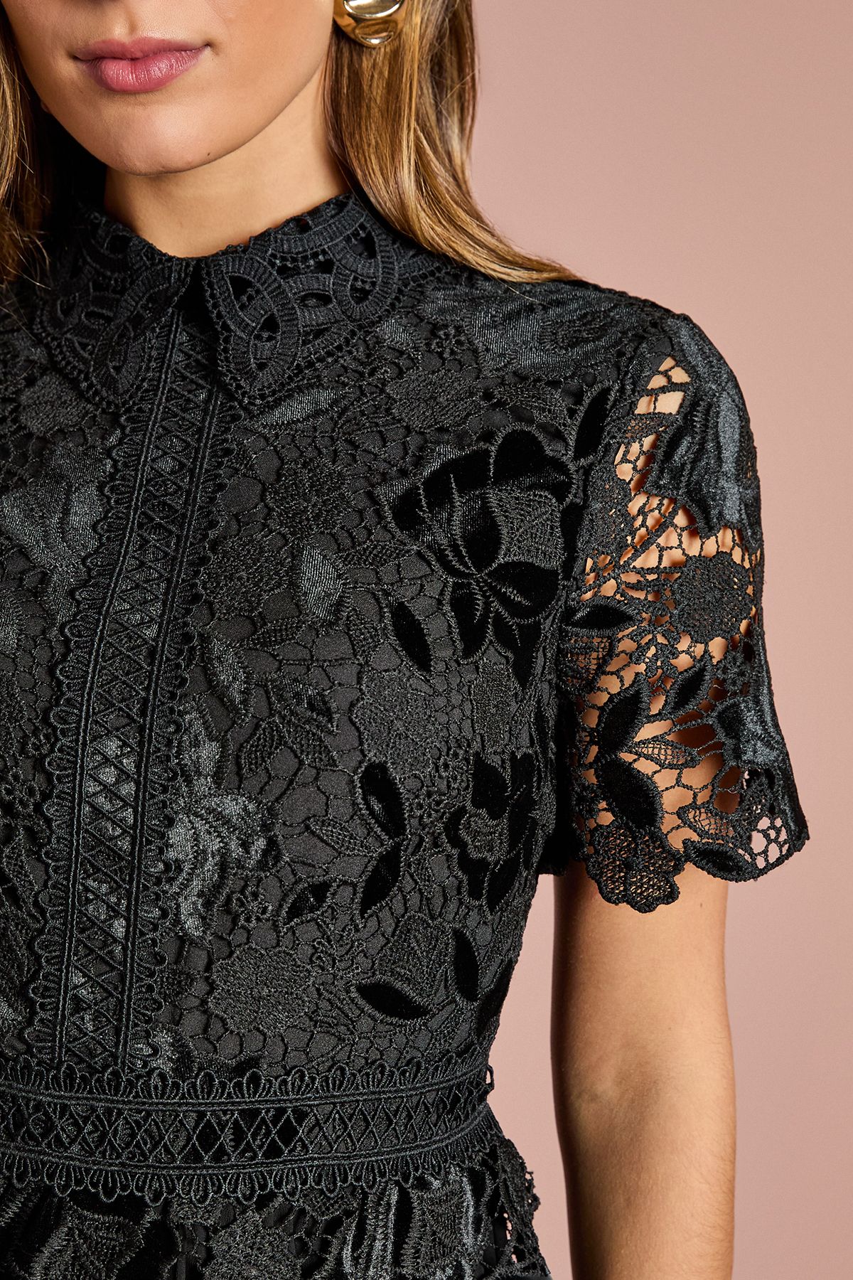 Coast Velvet Cutwork Lace Midi Dress With Contrast Collar Black image 5