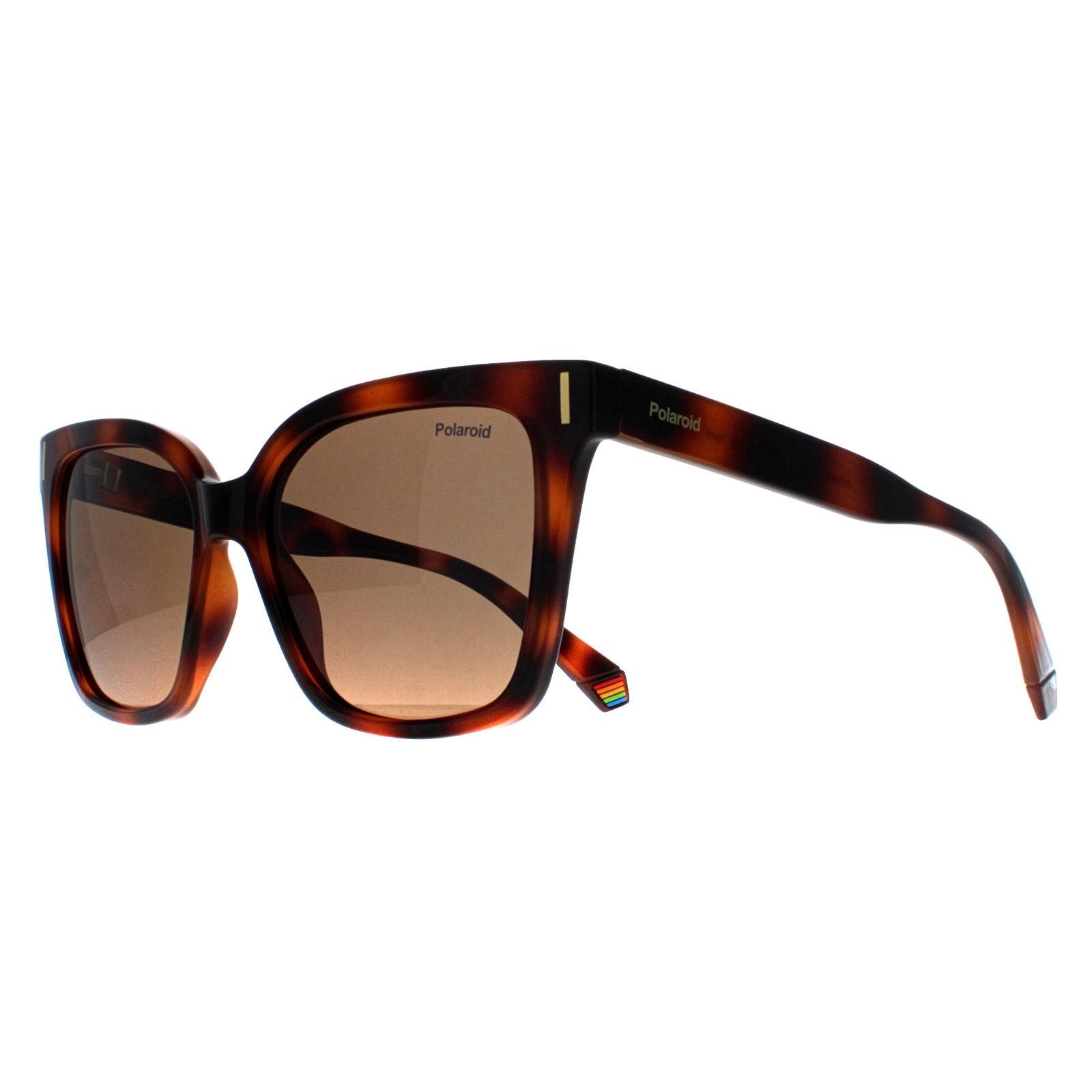 Polaroid Cat Eye Havana Bronze Polarized PLD 6192/S image 2