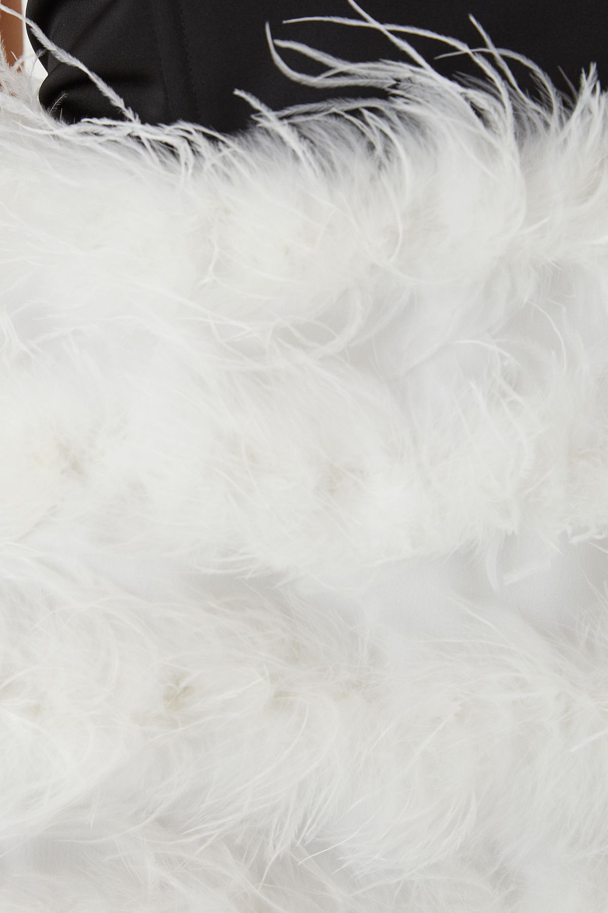 MissPap Bandeau Satin Feather Mini Dress Black image 5