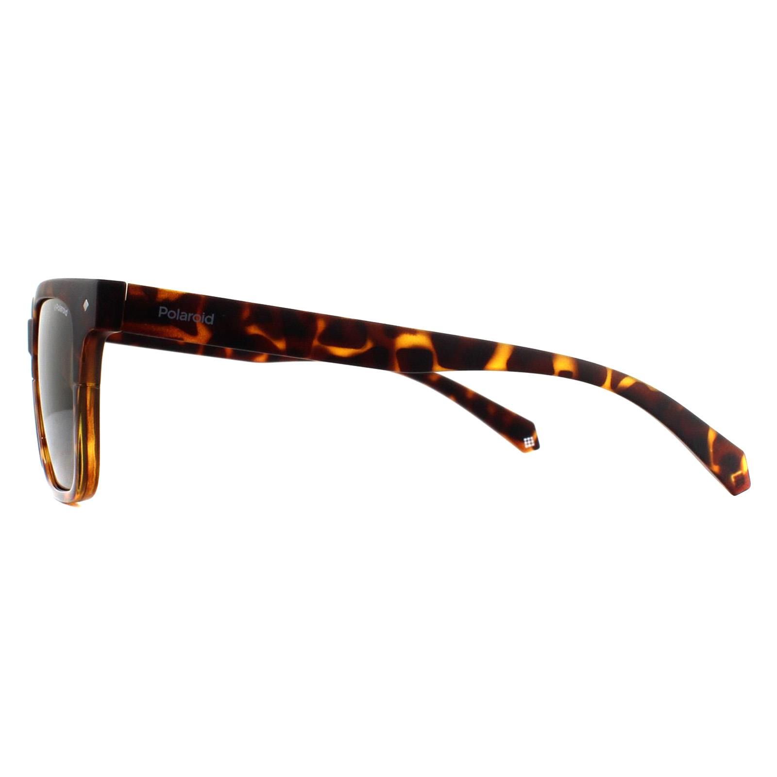 Polaroid Square Dark Havana Bronze Polarized Sunglasses image 3