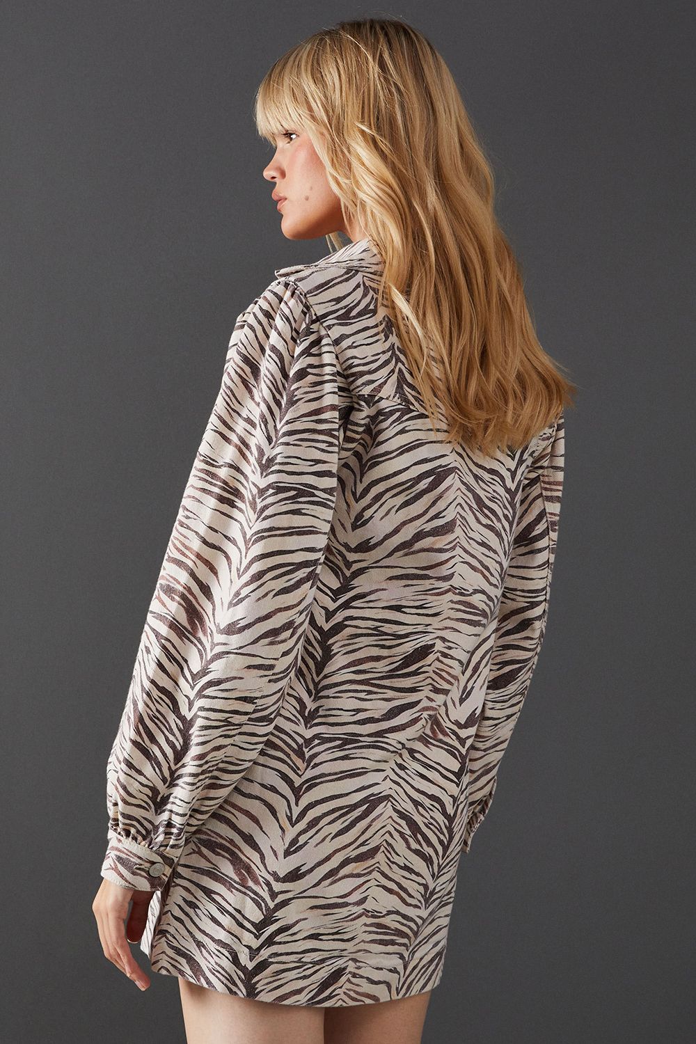 Warehouse Animal Denim Overhead Shirt Dress Zebra image 3