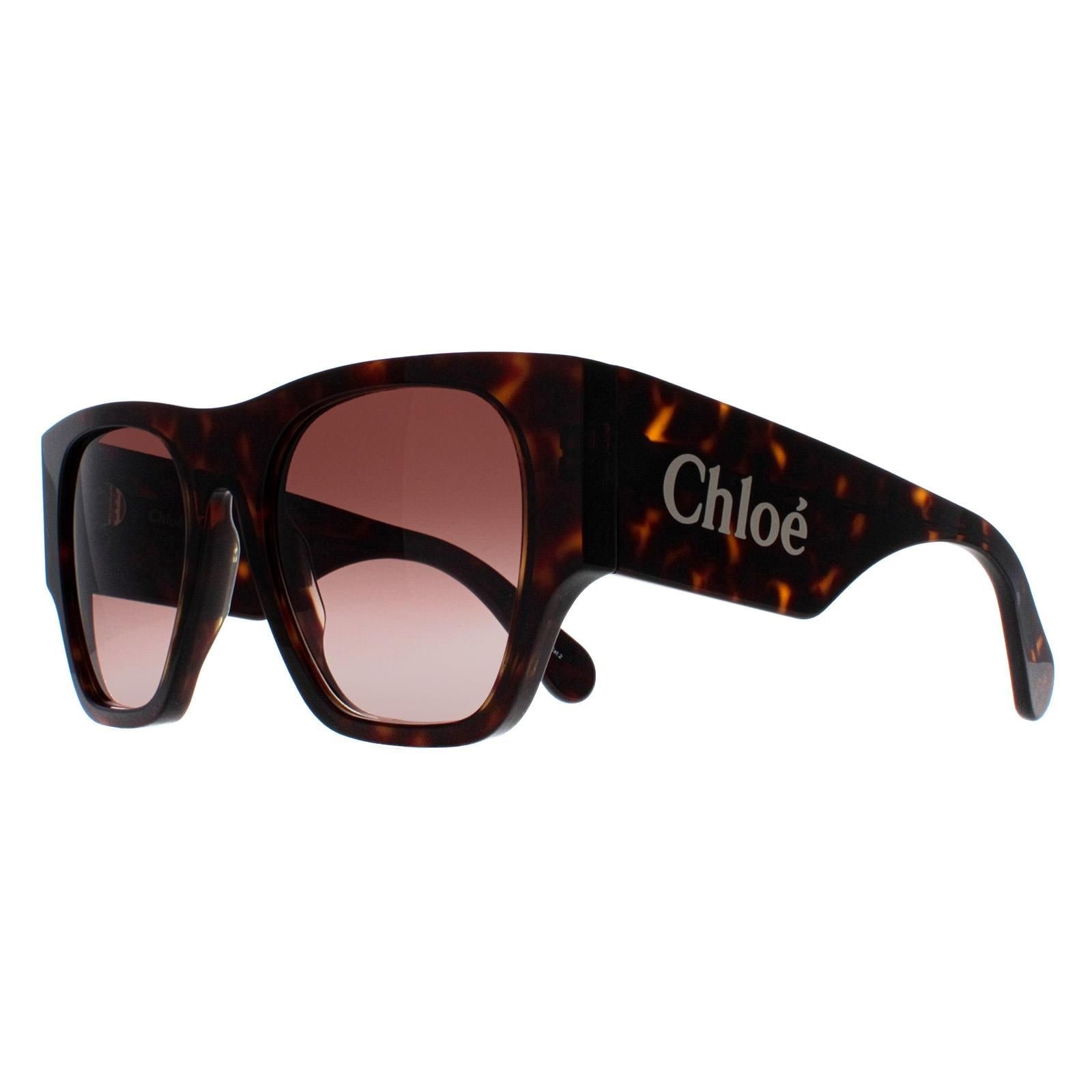 Chloe Square Dark Havana Brown Gradient CH0233S image 2