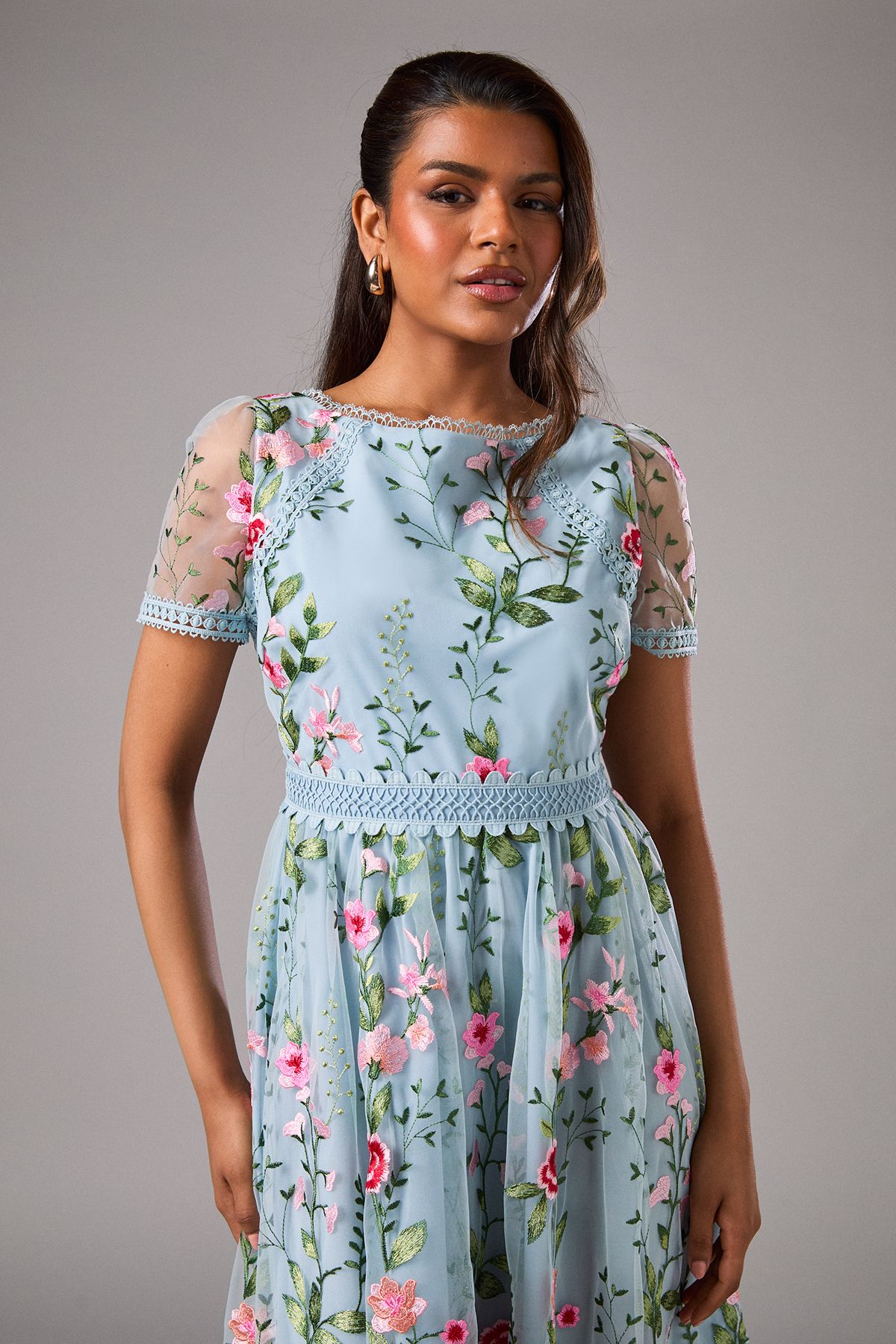 Coast Petite Embroidered Mesh Midi Dress With Lace Trim Blue image 4