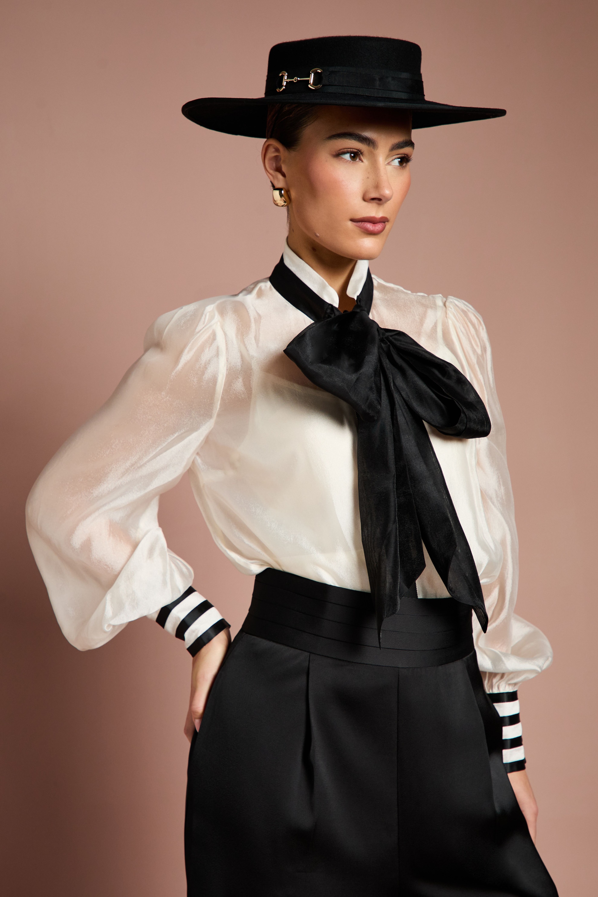 Coast Lisa Tan Pussybow Long Sleeve Organza Shirt Mono image 1