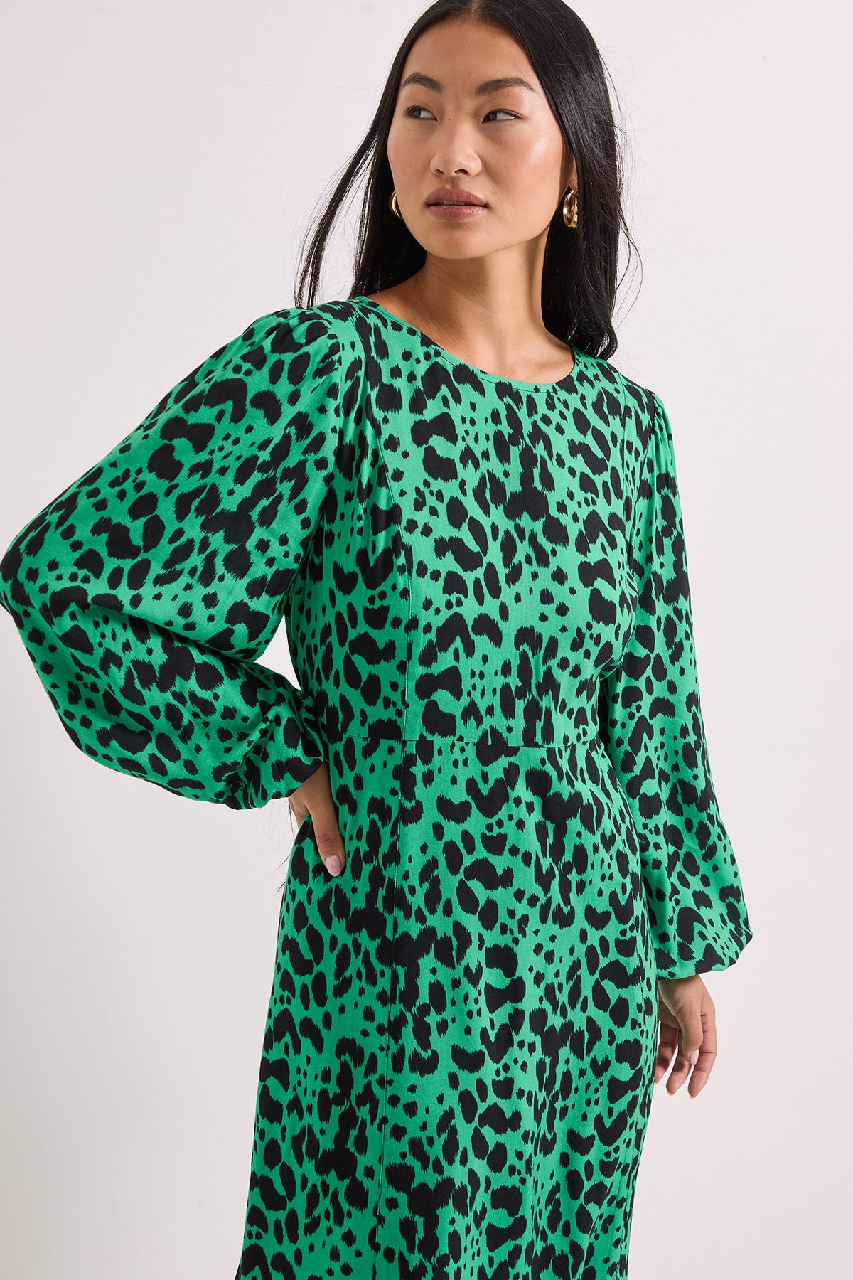 Dorothy Perkins Petite Green Animal Empire Seam Split Detail Printed Midi Dress Animal image 4
