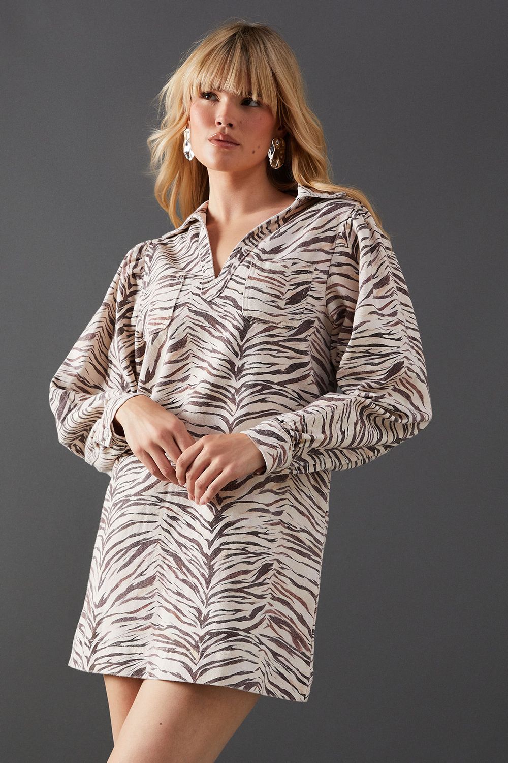 Warehouse Animal Denim Overhead Shirt Dress Zebra image 4