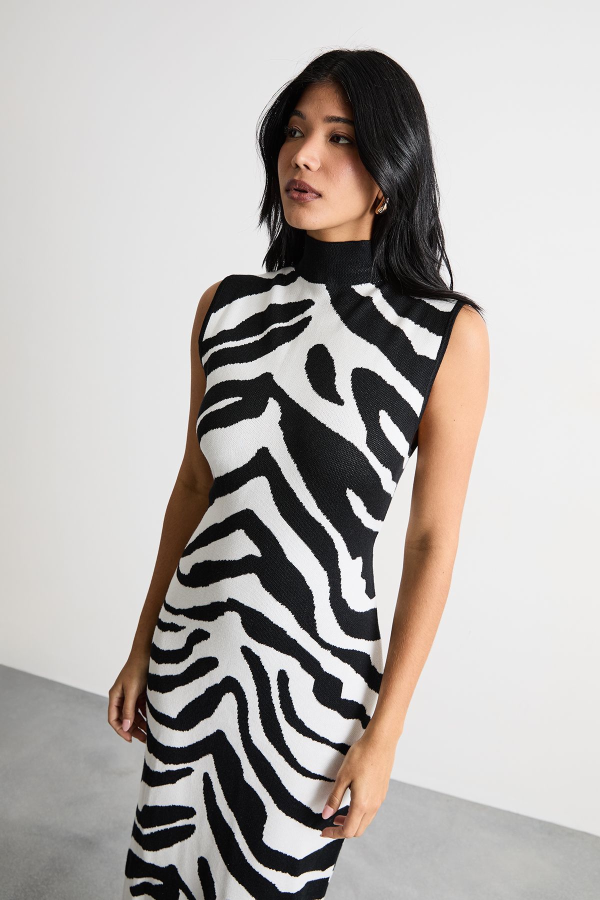 Warehouse Animal Zebra Jaquard Knitted Midi Dress Zebra image 4