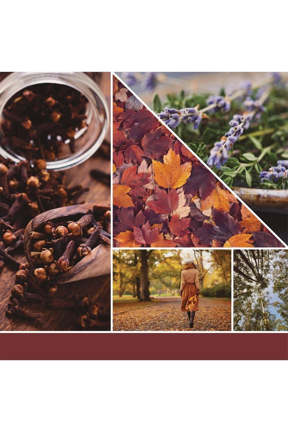 Yankee Candle Autumn Daydream Signature Large Jar Candle Multi image 6