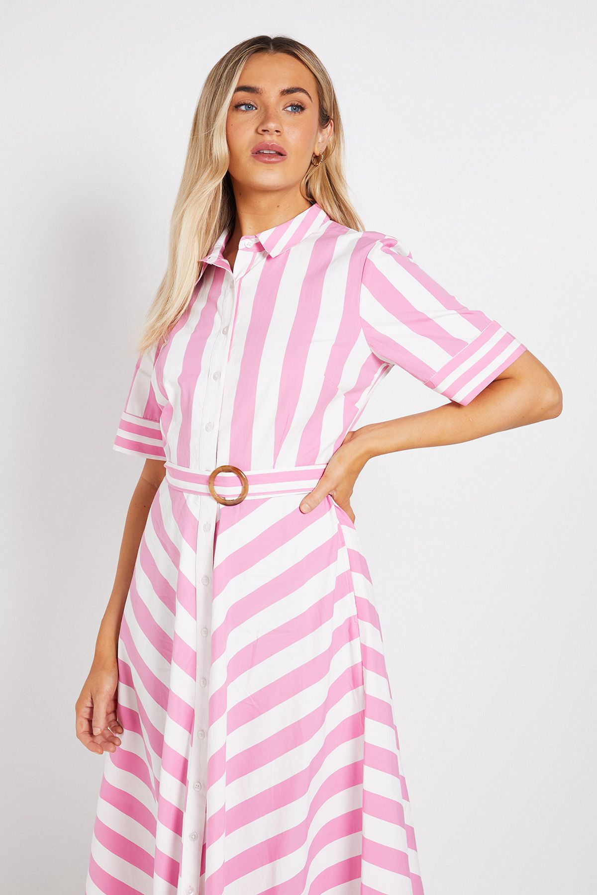 Dorothy Perkins Pink Belted Stripe Shirt Midi Dress Pink image 2