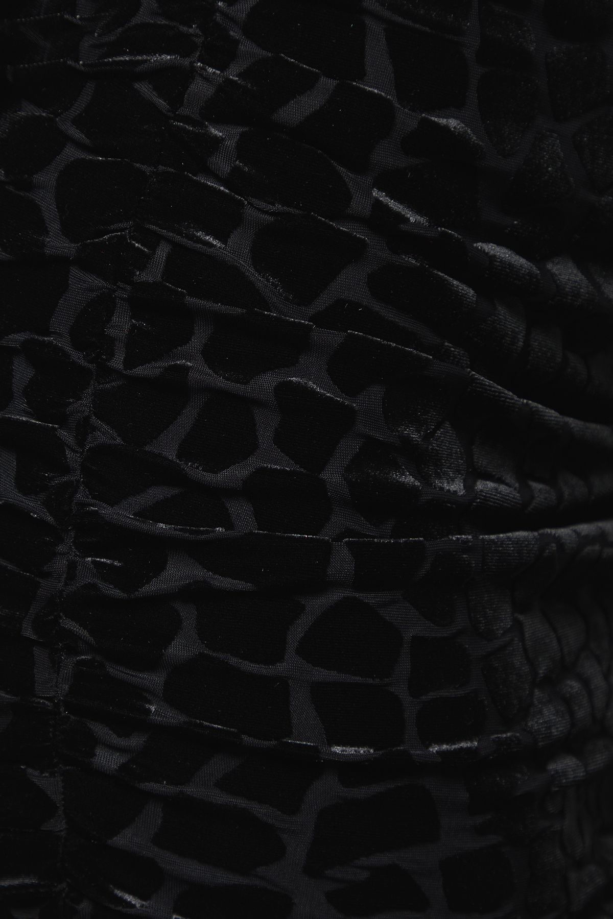 Dorothy Perkins Velvet Animal Burnout Ruched Skirt Mini Dress Black image 5