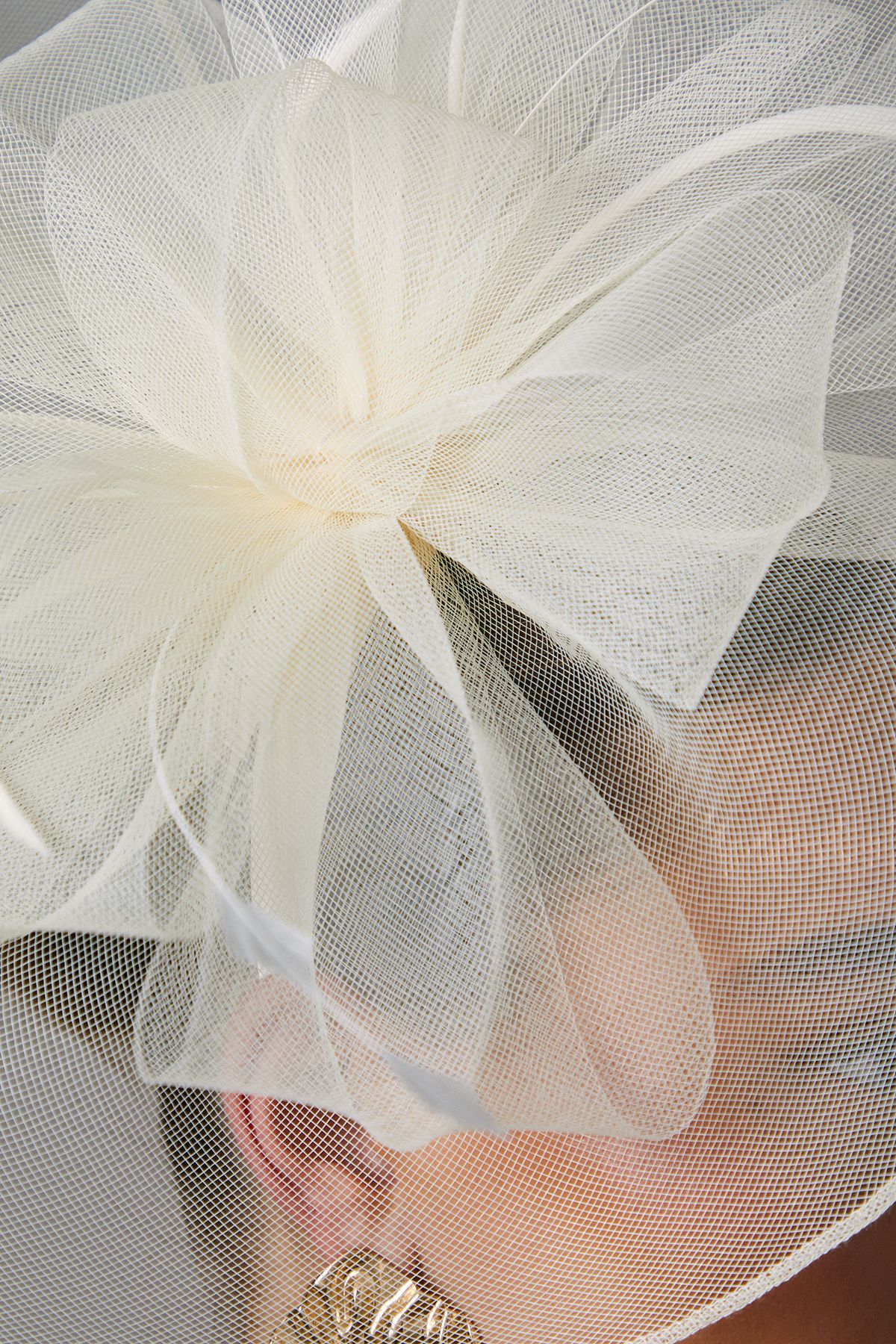 Coast Structured Mesh Bow Flat Fascinator Ivory image 3