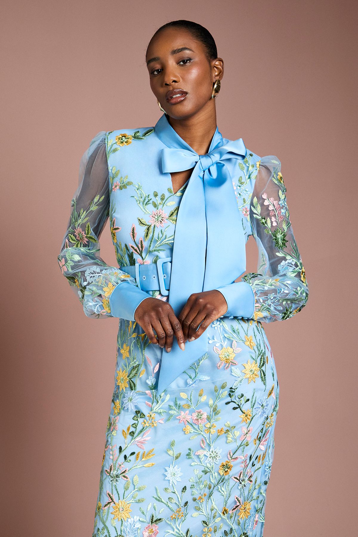 Coast Embroidered Mesh Pussybow Midi Dress Blue image 2