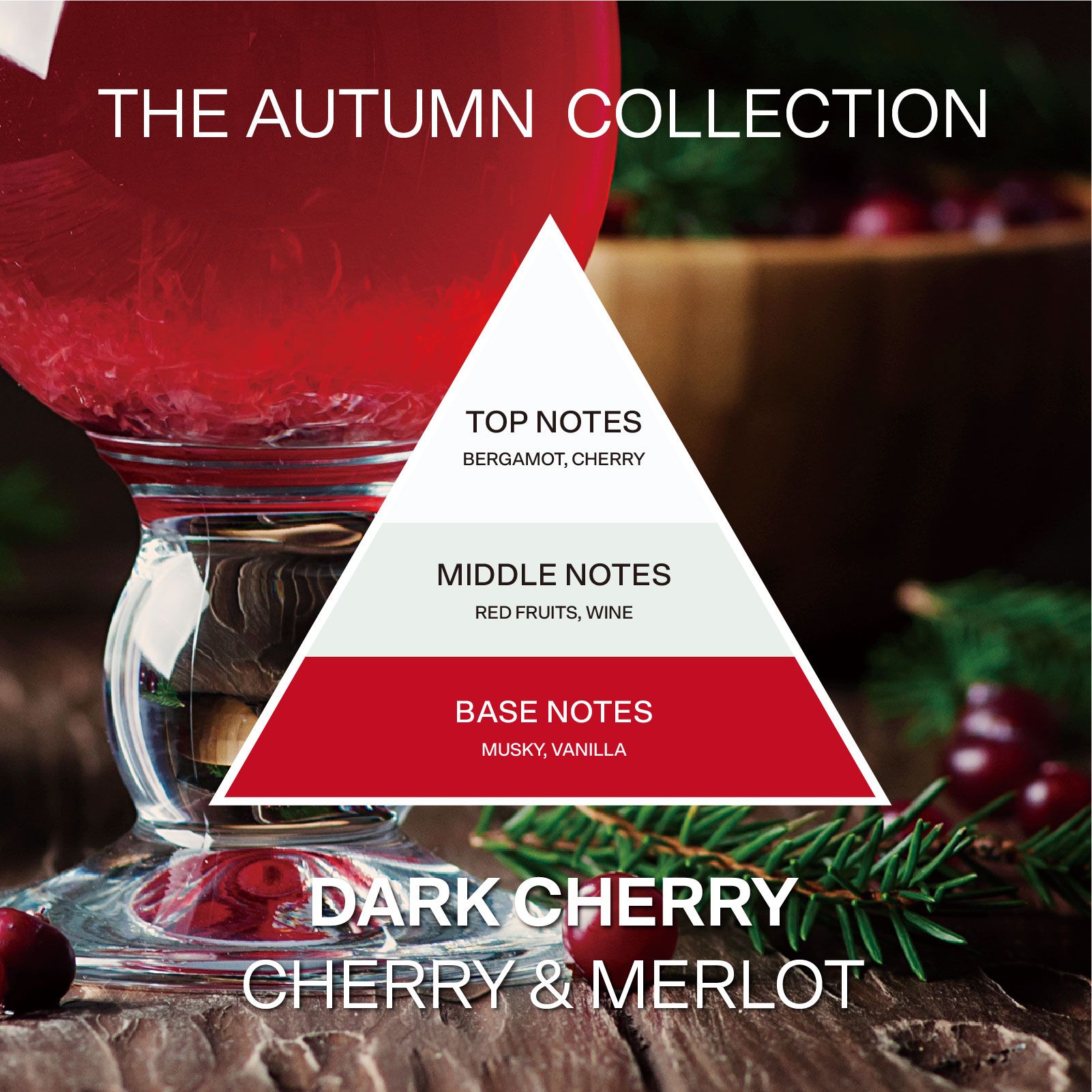 French Connection Ruby Cherry & Merlot Reed Diffuser 100ML Square Design image 3