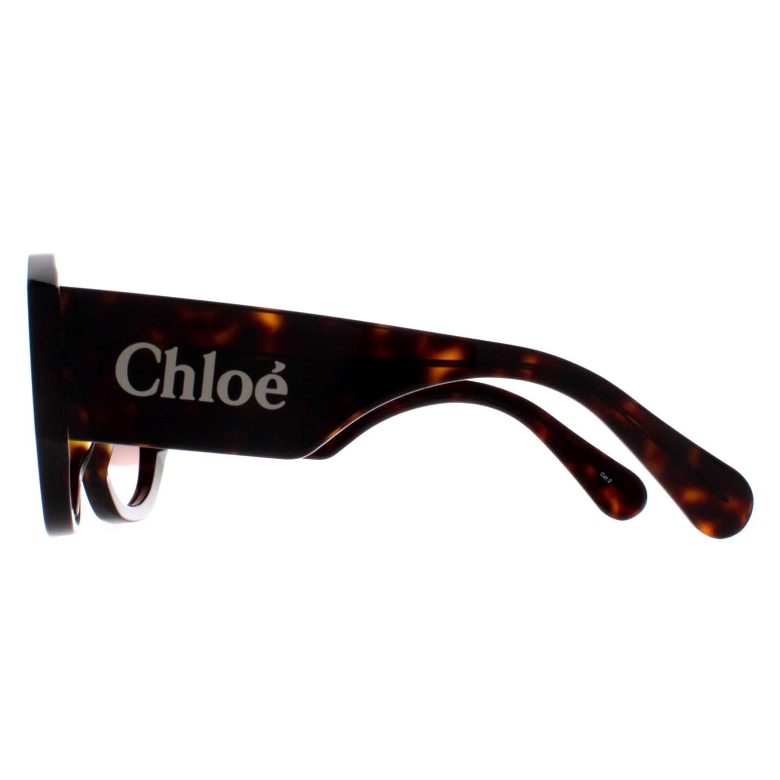 Chloe Round Dark Havana Brown Gradient CH0234S image 3