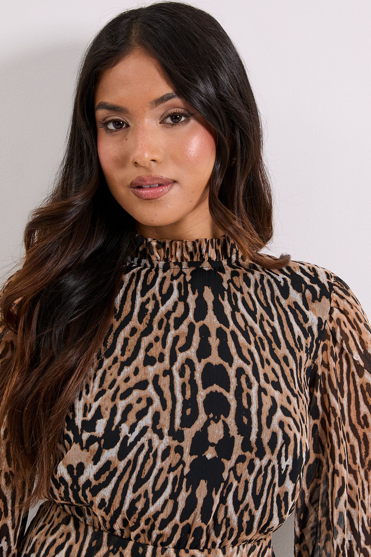 Dorothy Perkins Petite Leopard Frill Neck Tiered Skirt Printed Mini Dress Leopard image 4