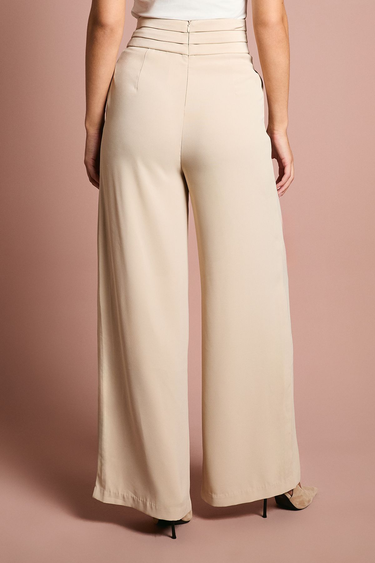 Coast Wide Leg Trouser With Satin Pleated Waistband Champagne image 3