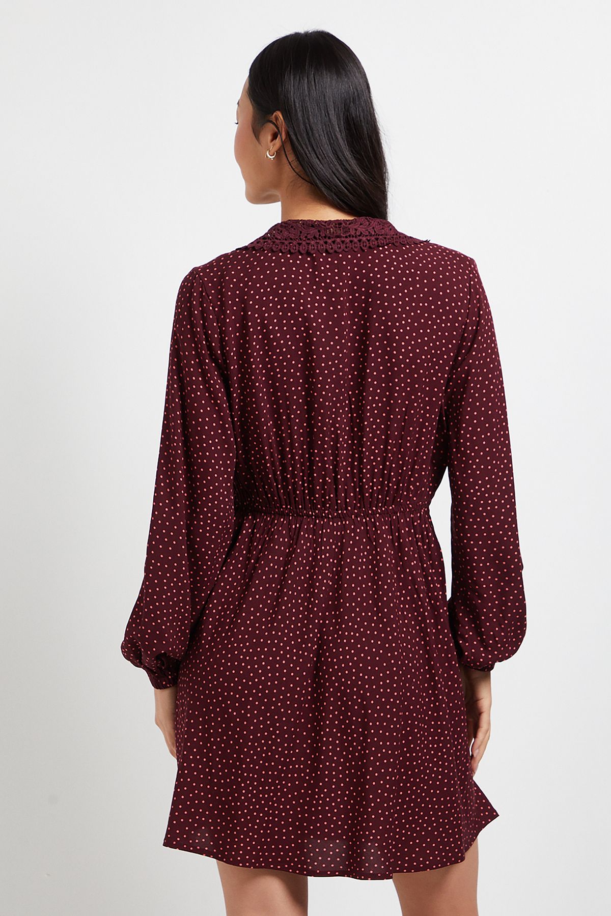 Dorothy Perkins Petite Berry Spot Lace Collar Detail Wrap Printed Mini Dress Berry image 3