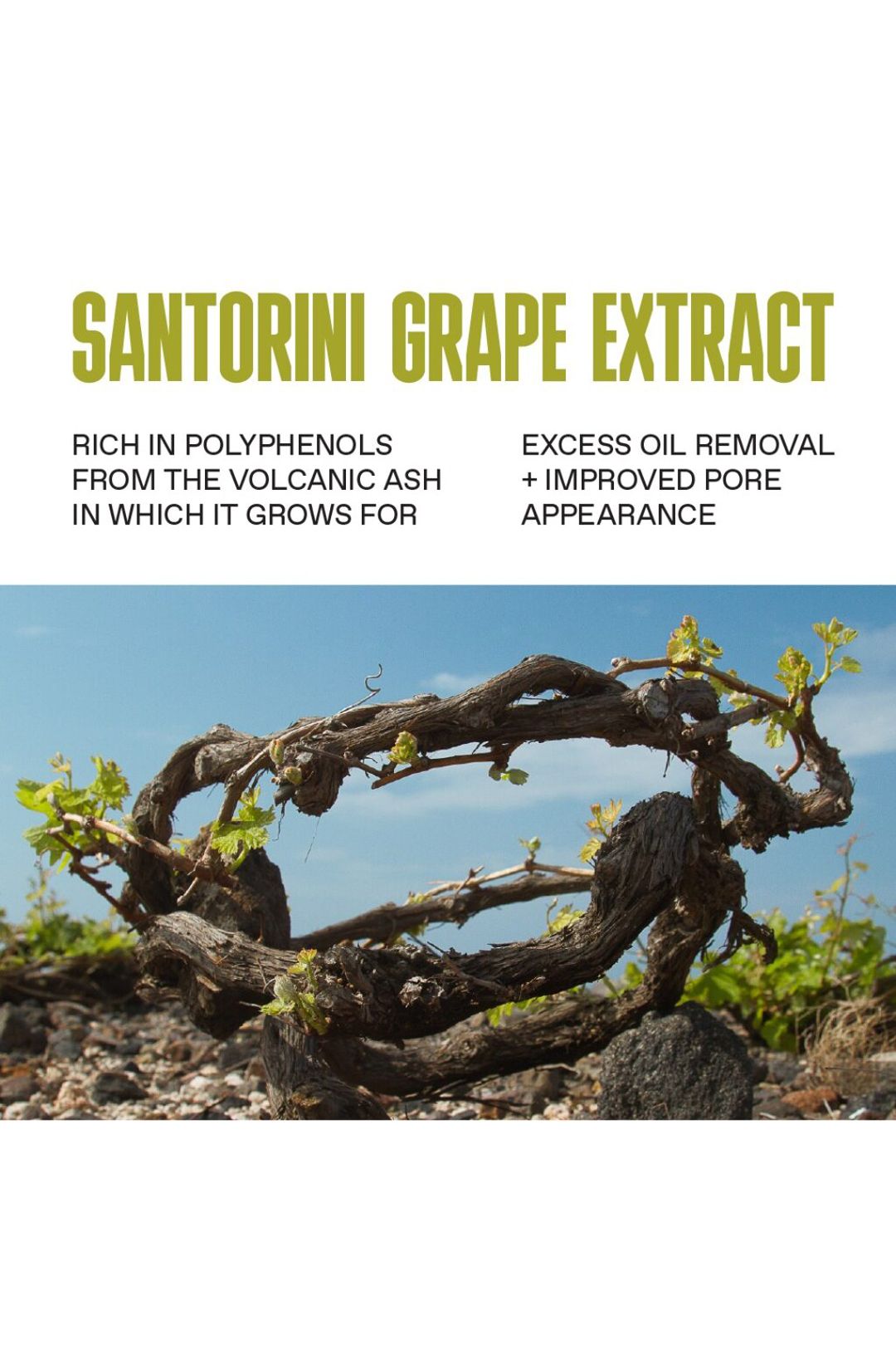 Korres Santorini Grape Toner 125ml Multi image 3