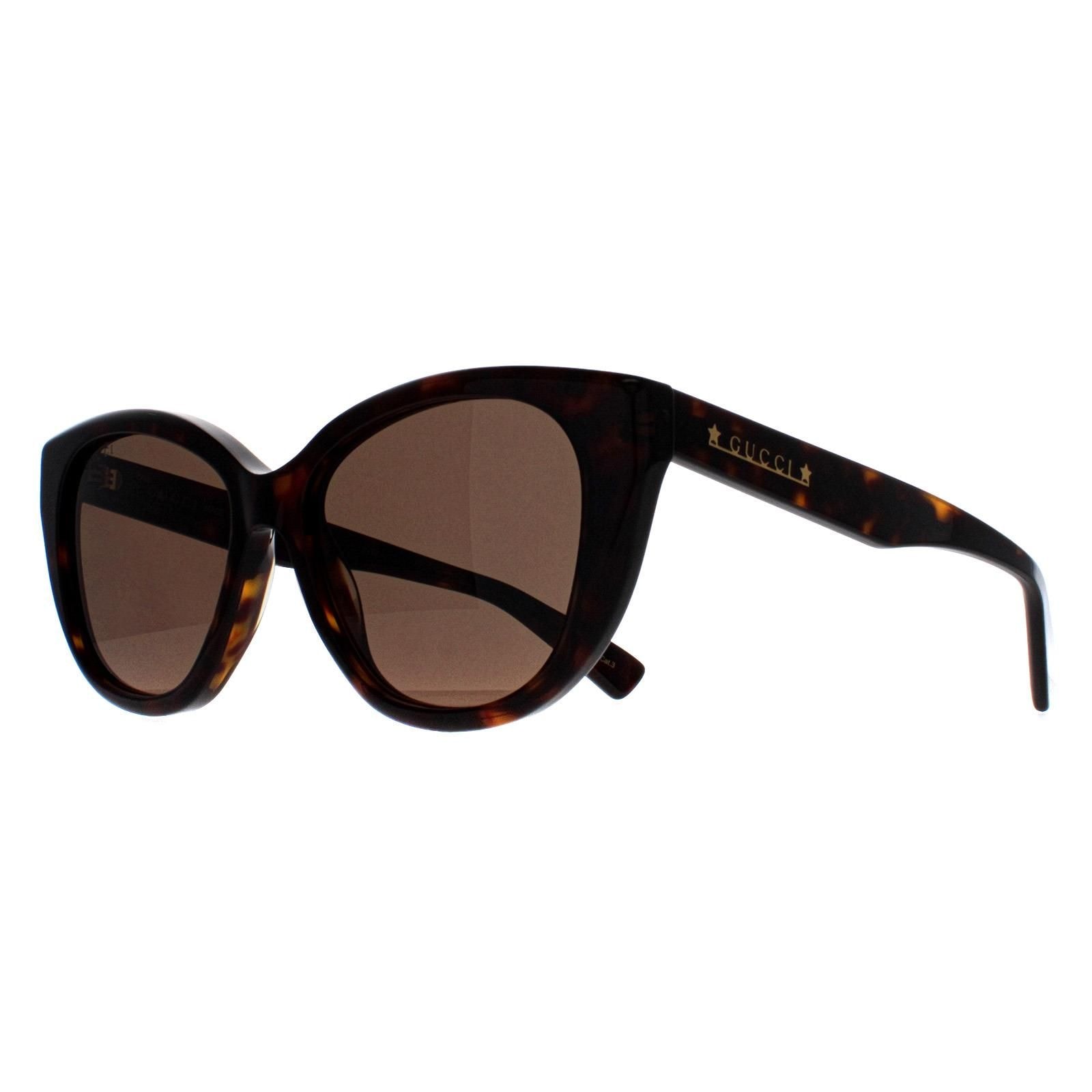 Gucci Cat Eye Havana Brown GG1588S image 2