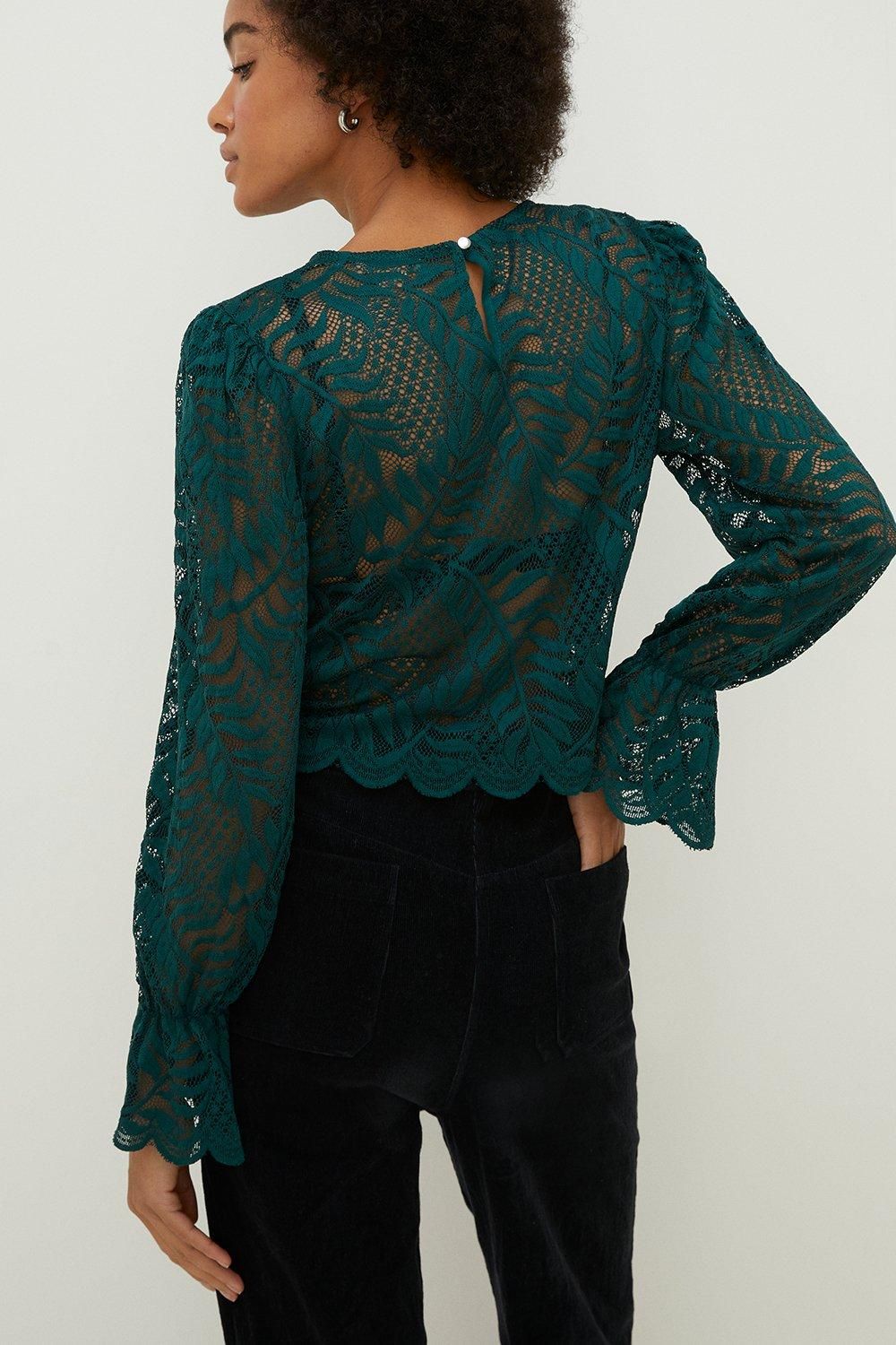 Oasis Long Sleeved Delicate Lace Top Green image 3