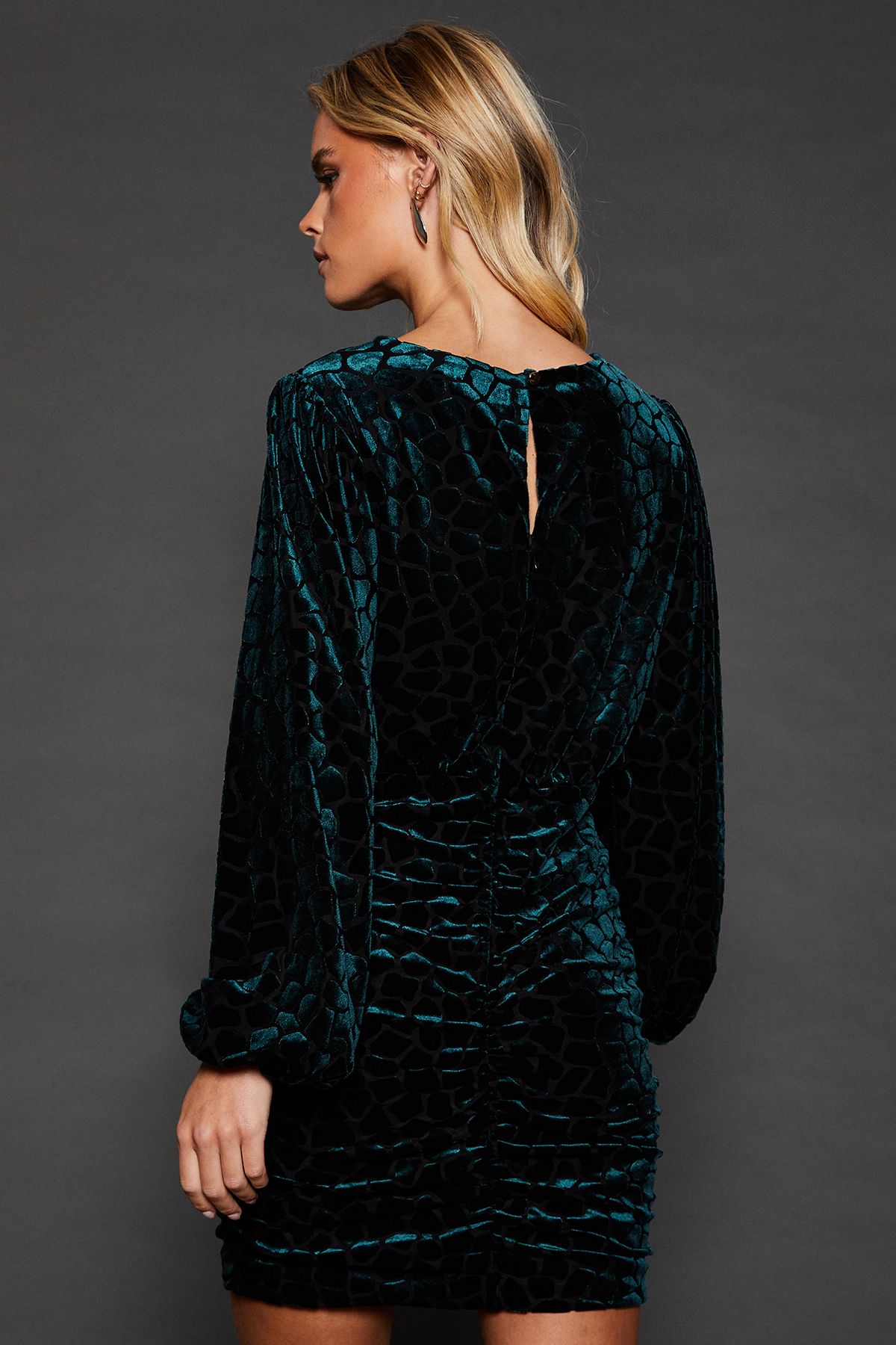 Dorothy Perkins Petite Velvet Animal Ruched Mini Dress Green image 3