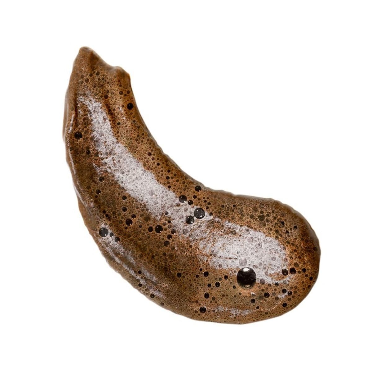 Coco & Eve Sunny Honey Bali Bronzing Foam image 3