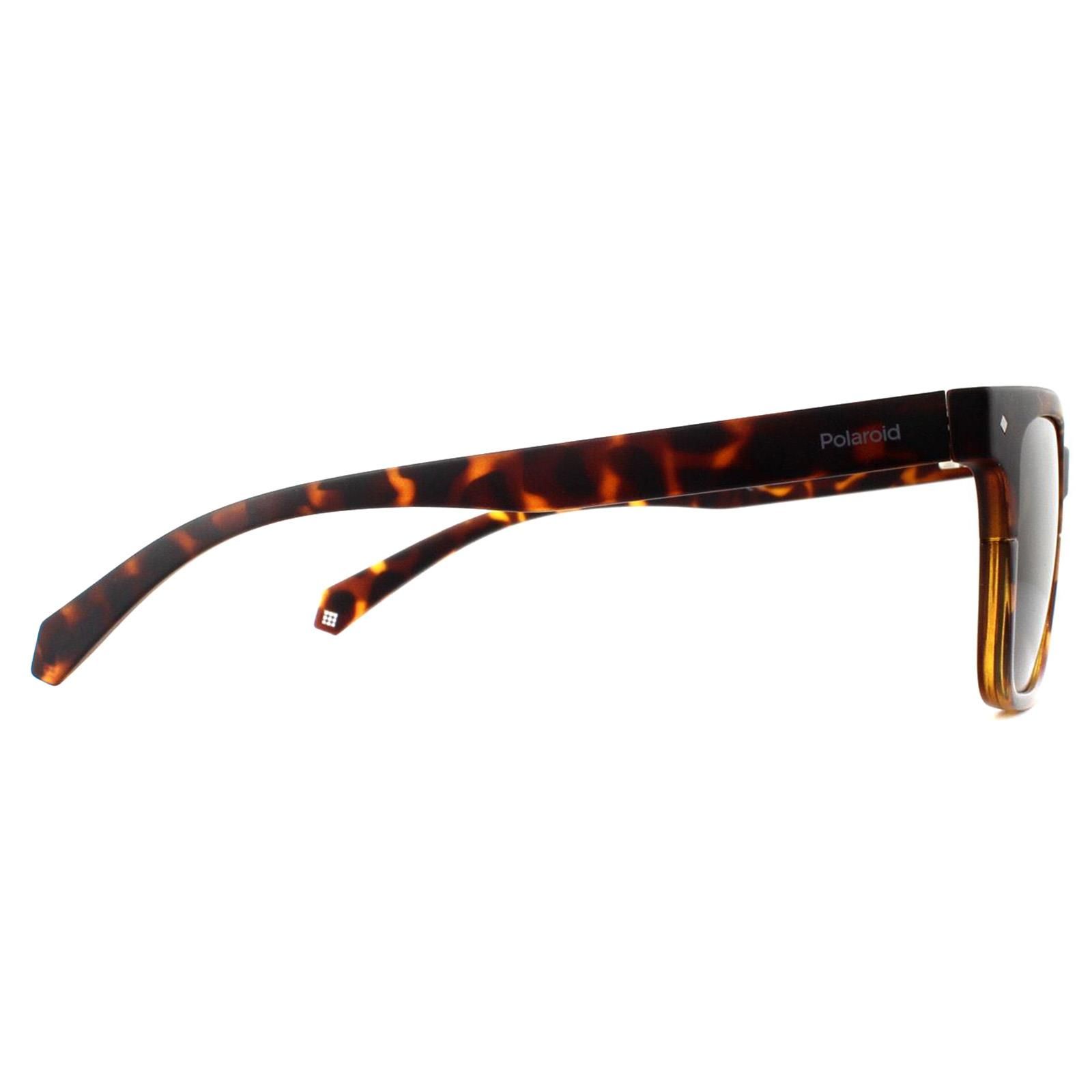 Polaroid Square Dark Havana Bronze Polarized Sunglasses image 4