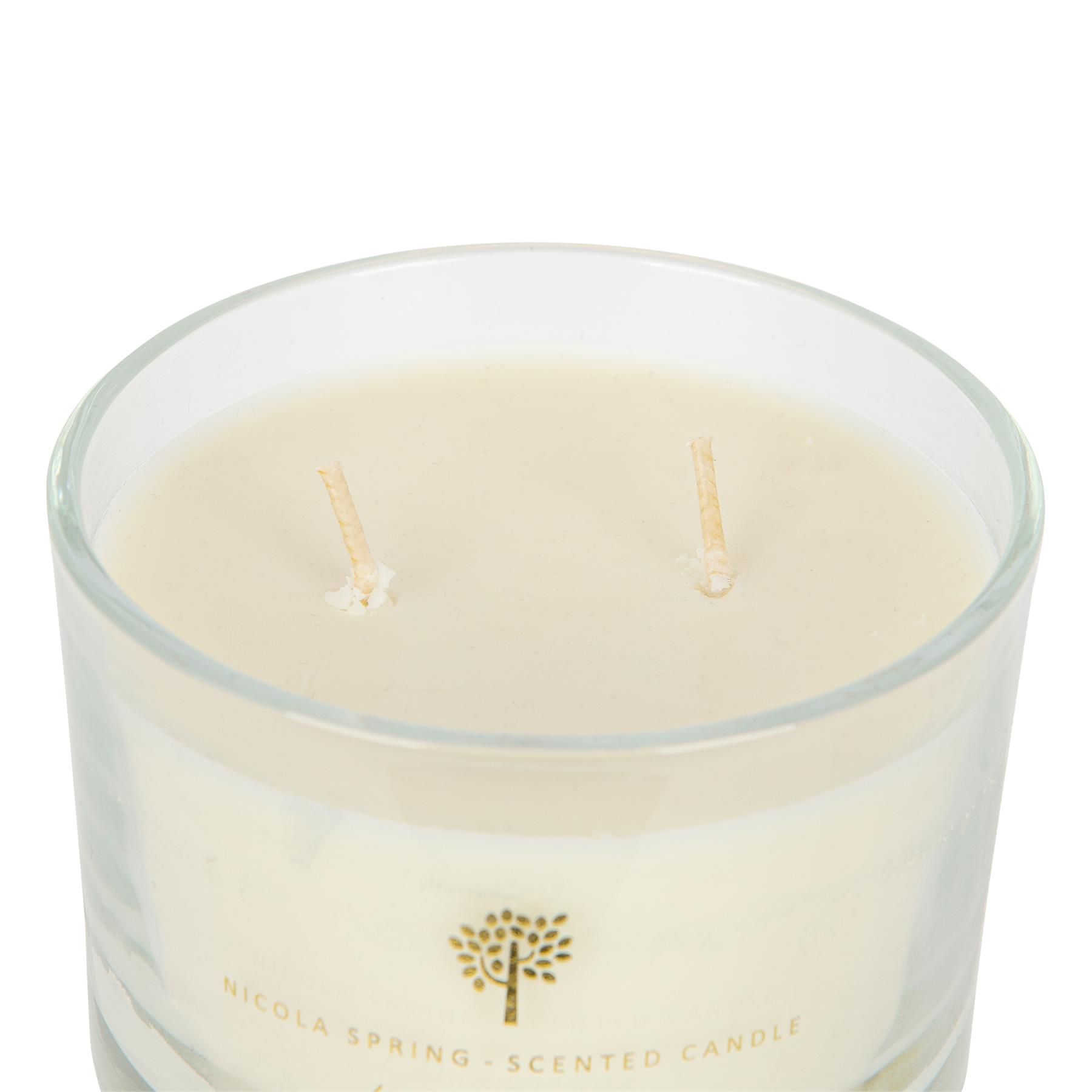 Nicola Spring 350g Lemongrass Soy Wax Candle - Double Wick Fruity Jar image 5