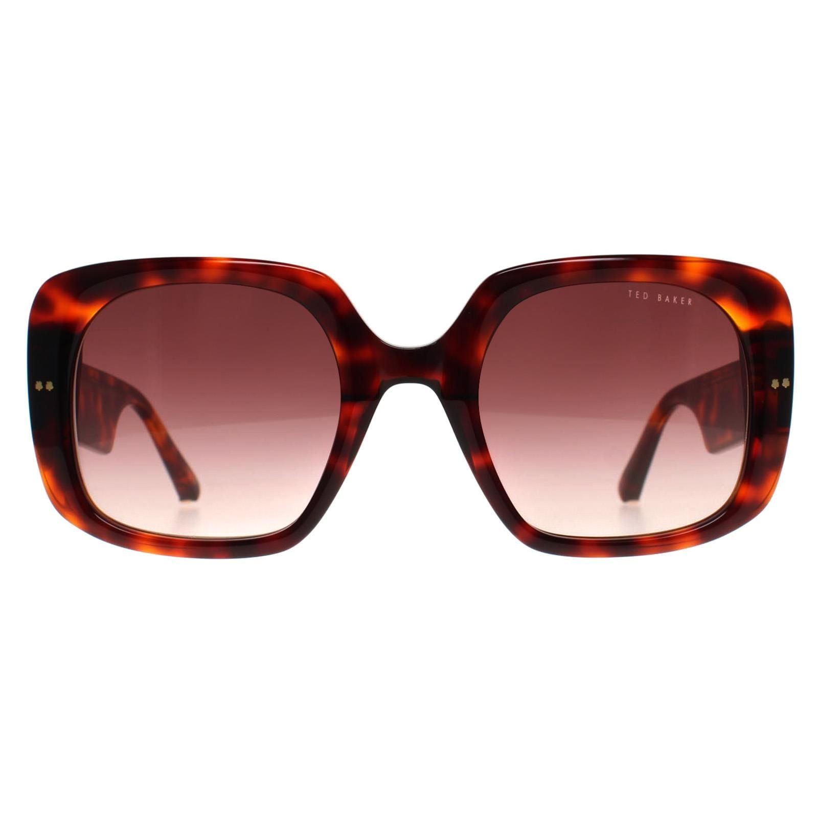 Ted Baker Square Tortoise Brown Gradient TB1730 Catrina image 1