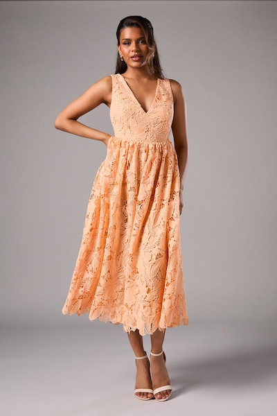 Coast Petite Lace Midi Dress Peach