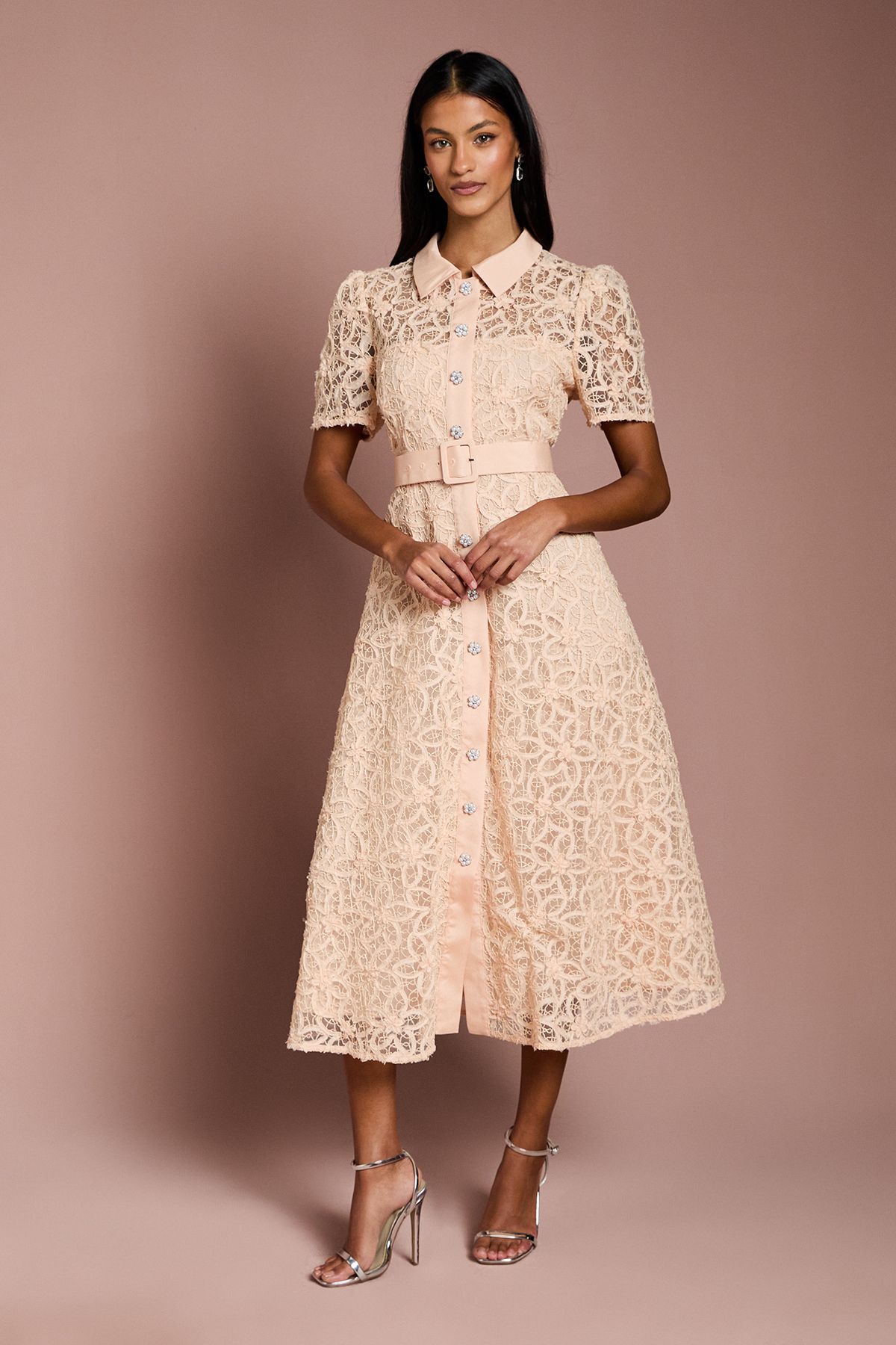 Coast Petite Floral Lace Collared Midi Dress Nude image 1