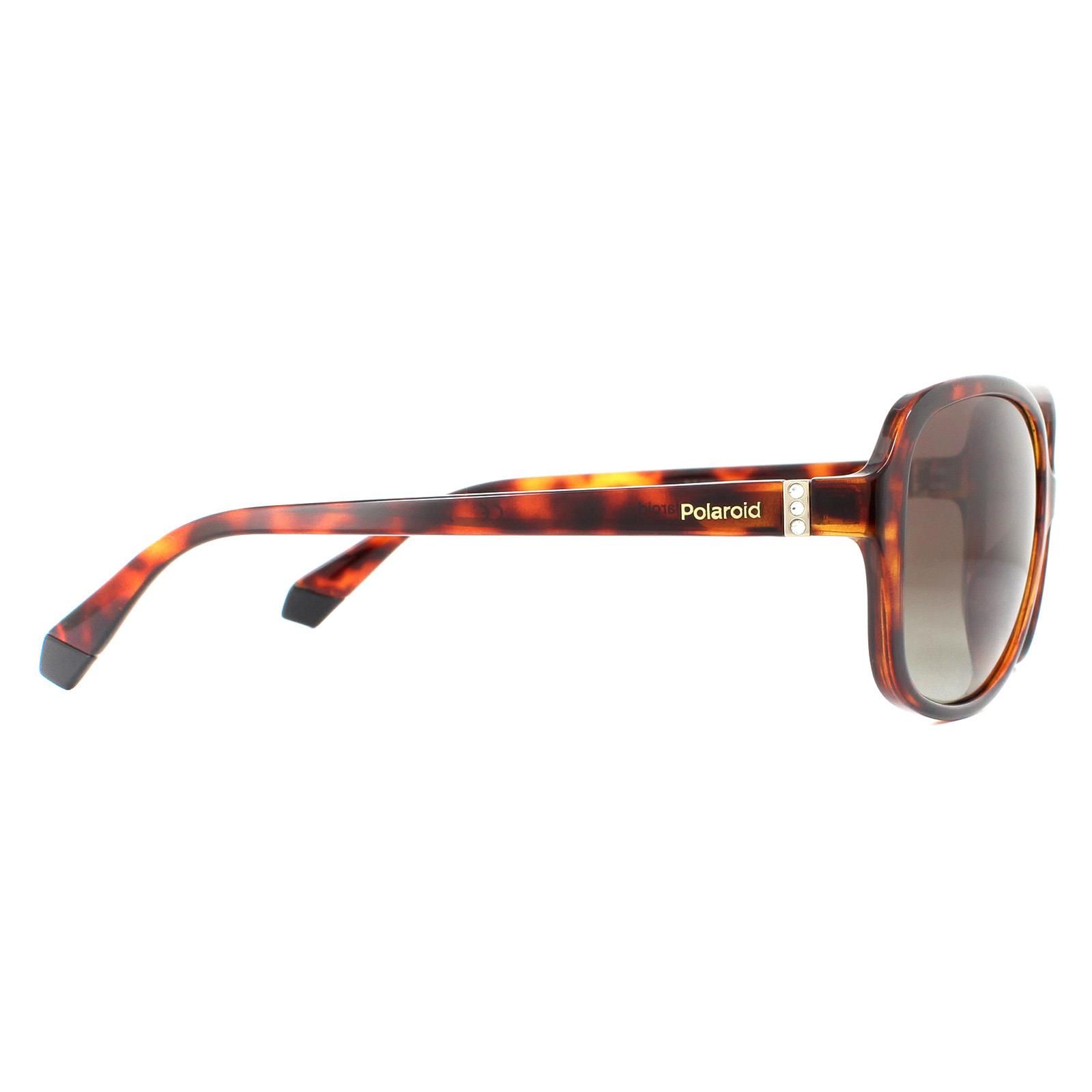 Polaroid Fashion Dark Havana Brown Gradient Polarised Sunglasses image 4