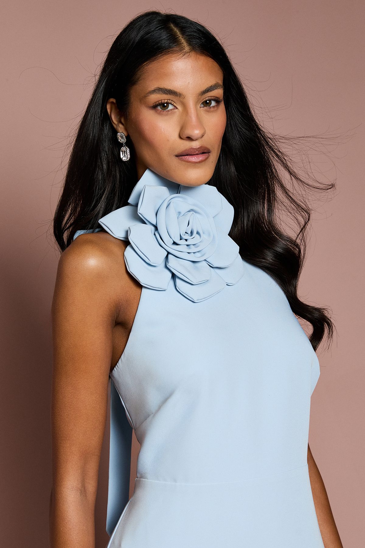 Coast Petite High Neck Corsage Detail Midi Dress Light Blue image 4