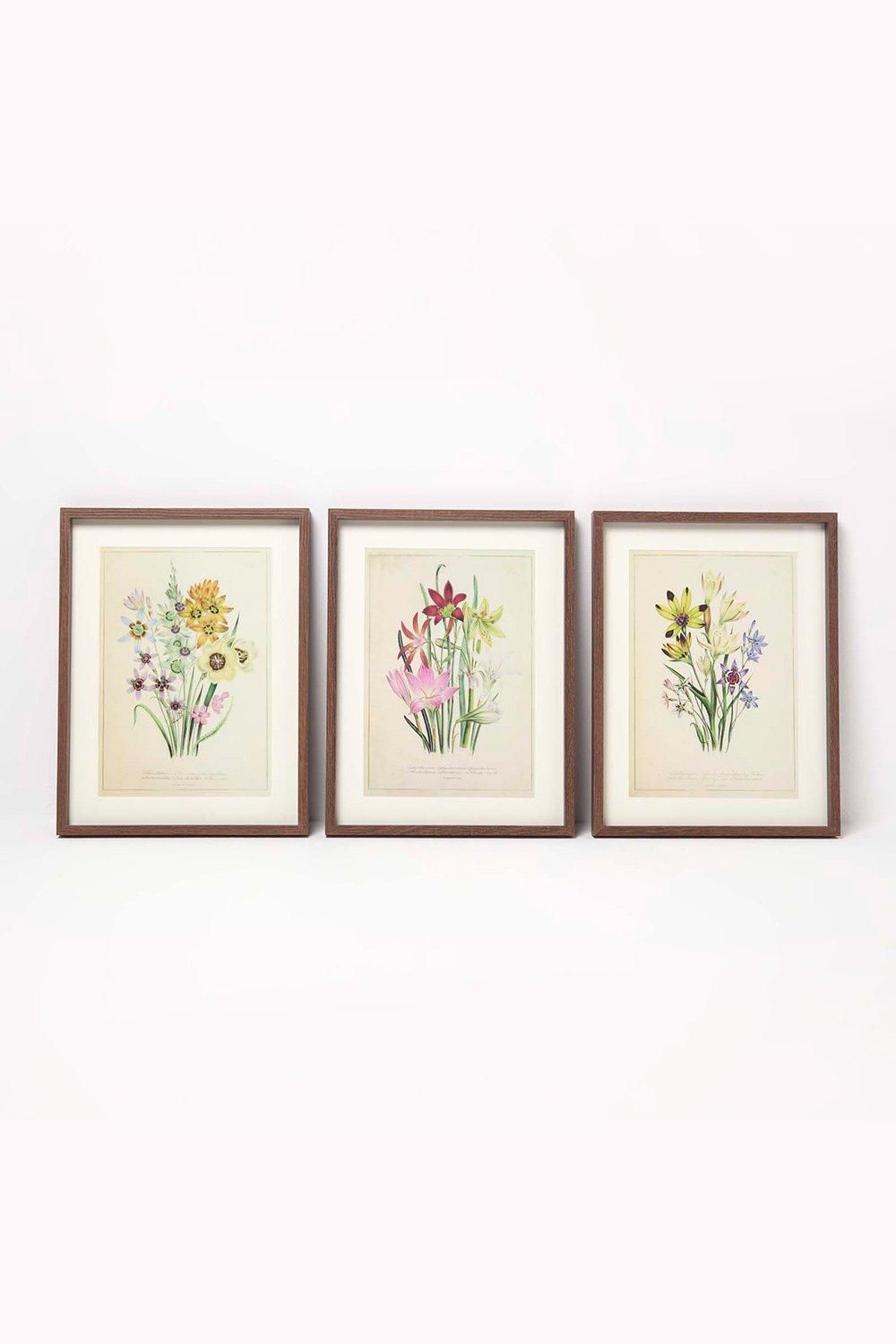 Homescapes Wall Decoration Set of 3 Frames with Picture, Wildflowers image 1