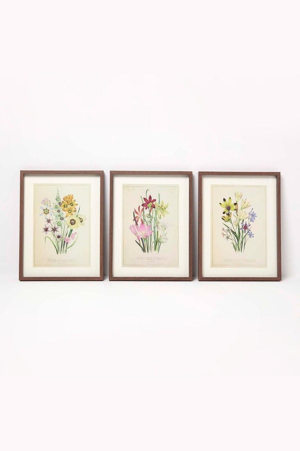 Homescapes Wall Decoration Set of 3 Frames with Picture, Wildflowers