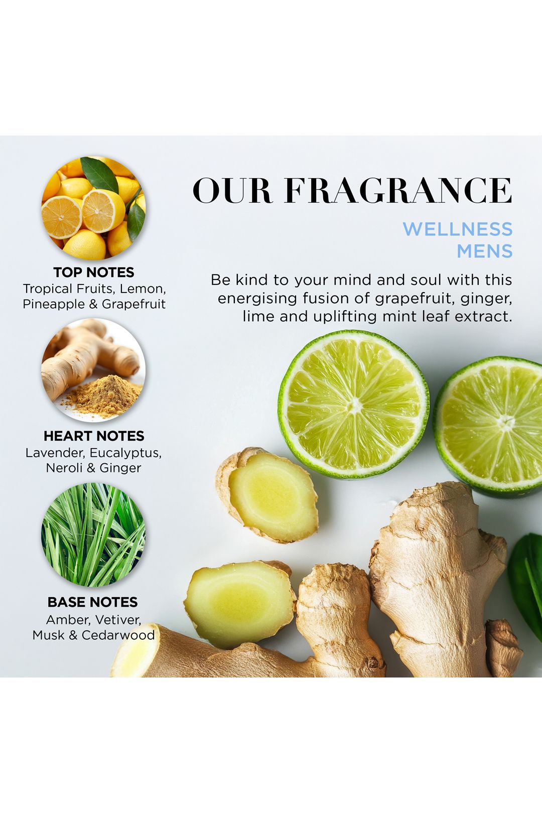 Baylis & Harding Wellness For Men His Essential Wellbeing Tin Gift Set Multi image 5