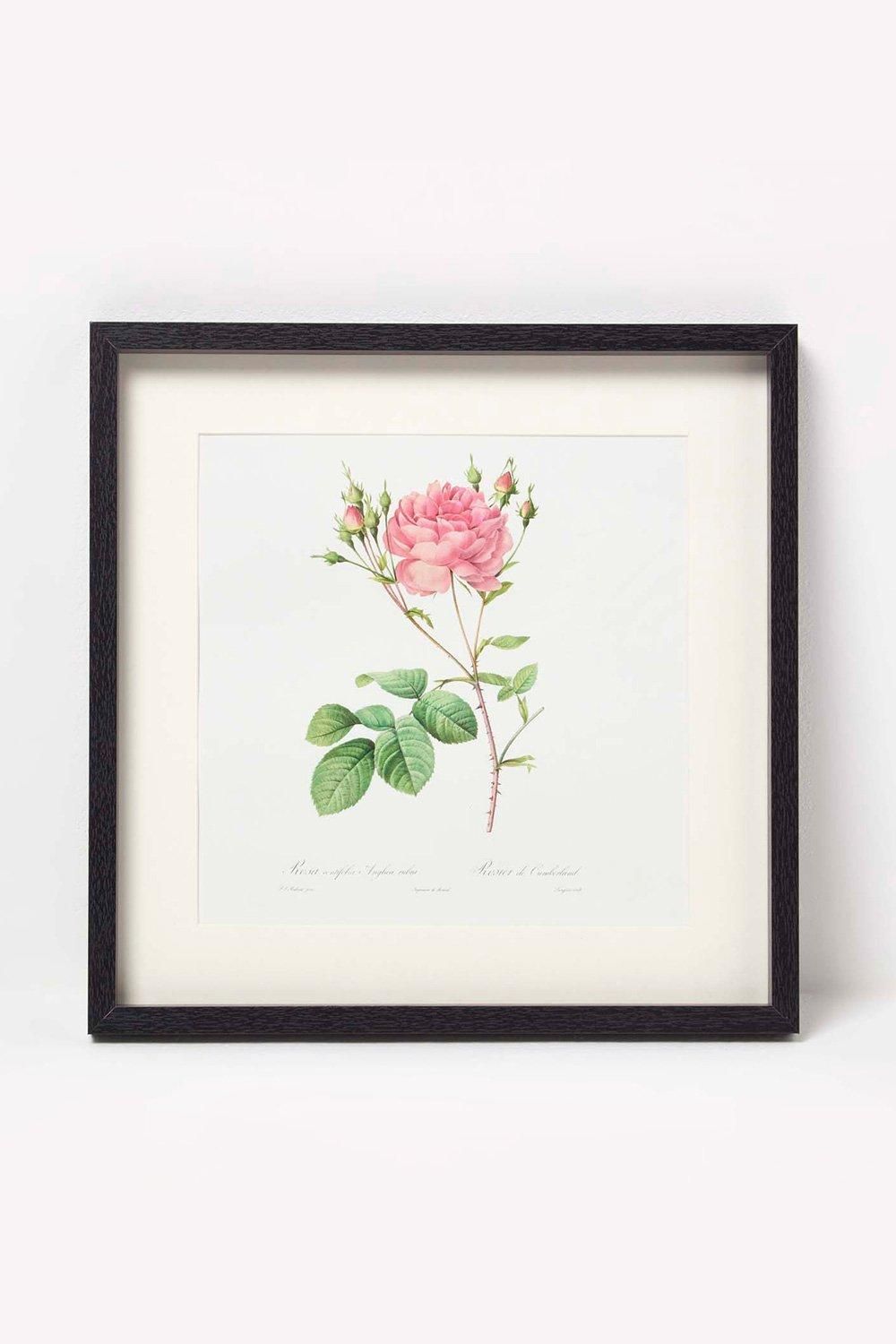 Homescapes Wall Decoration Set of 3 Frames with Picture, Roses image 4