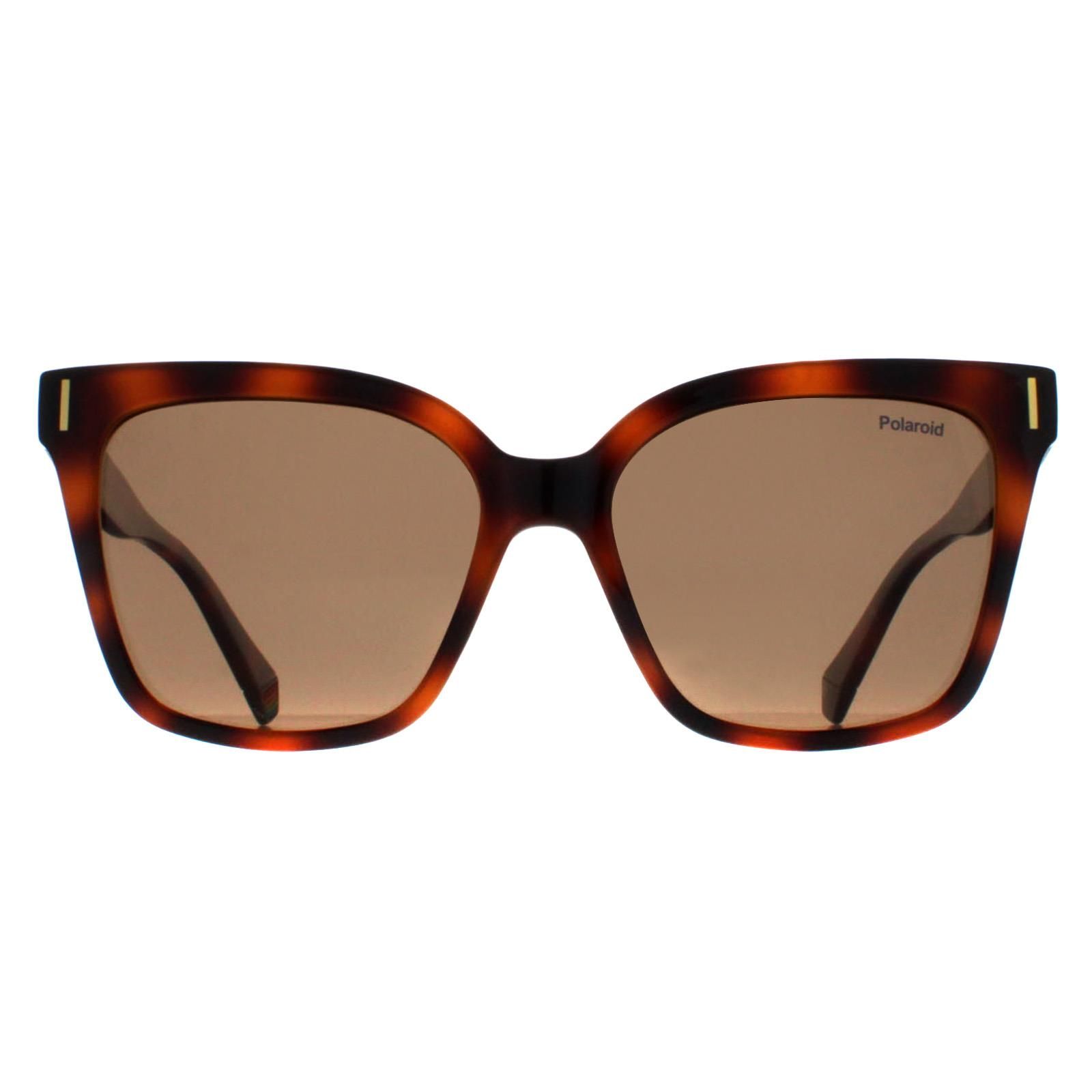 Polaroid Cat Eye Havana Bronze Polarized PLD 6192/S image 1