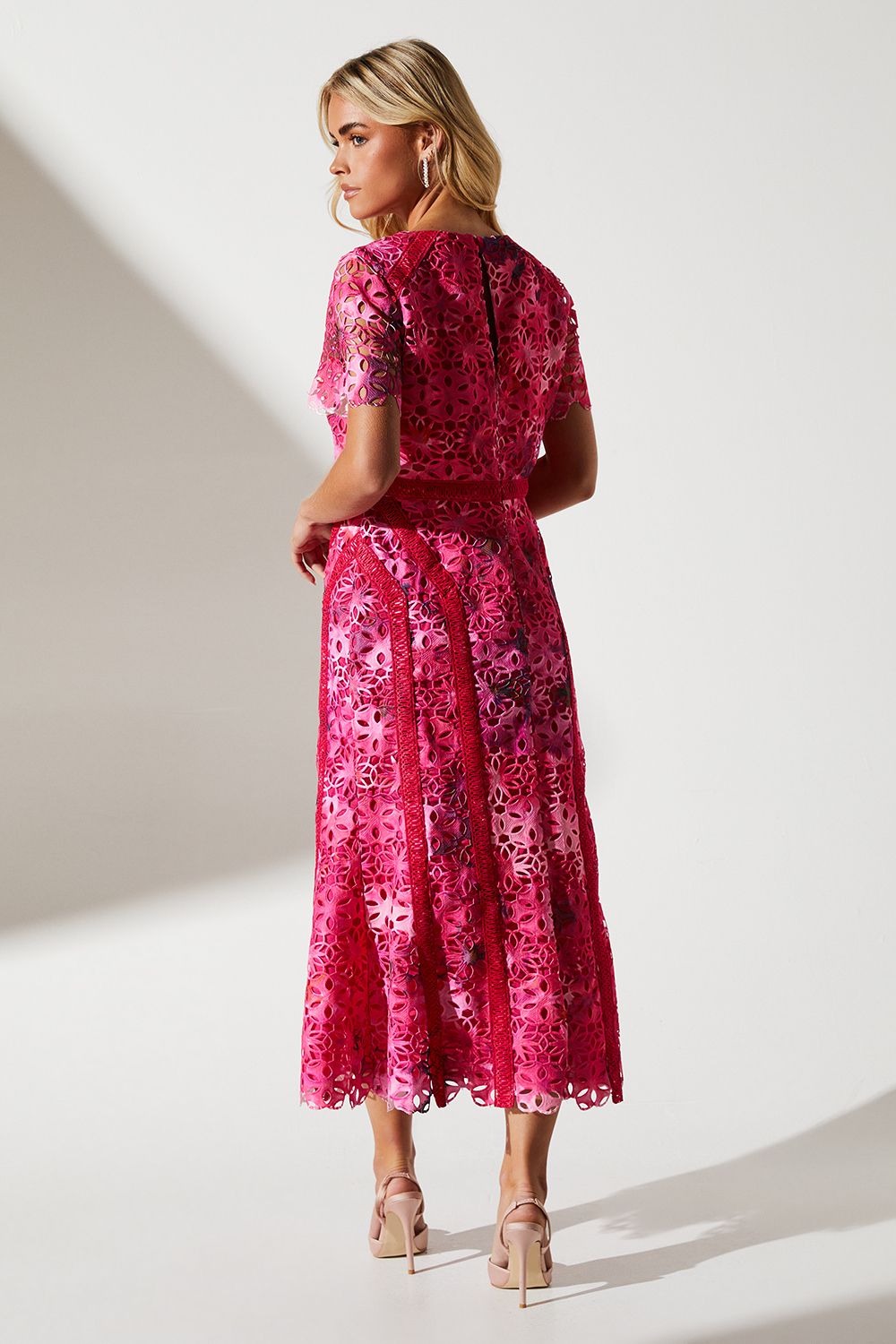 Coast Petite Printed Lace Midi Pencil Dress Pink image 3