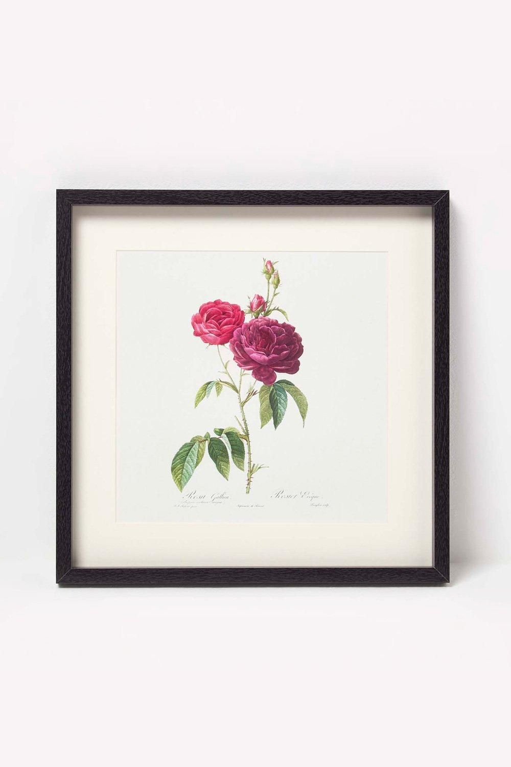 Homescapes Wall Decoration Set of 3 Frames with Picture, Roses image 3