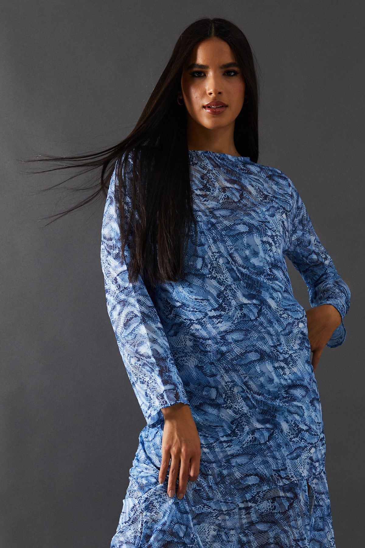 Warehouse Petite Burnout Snake Chiffon Column Long Sleeve Maxi Dress Blue image 4