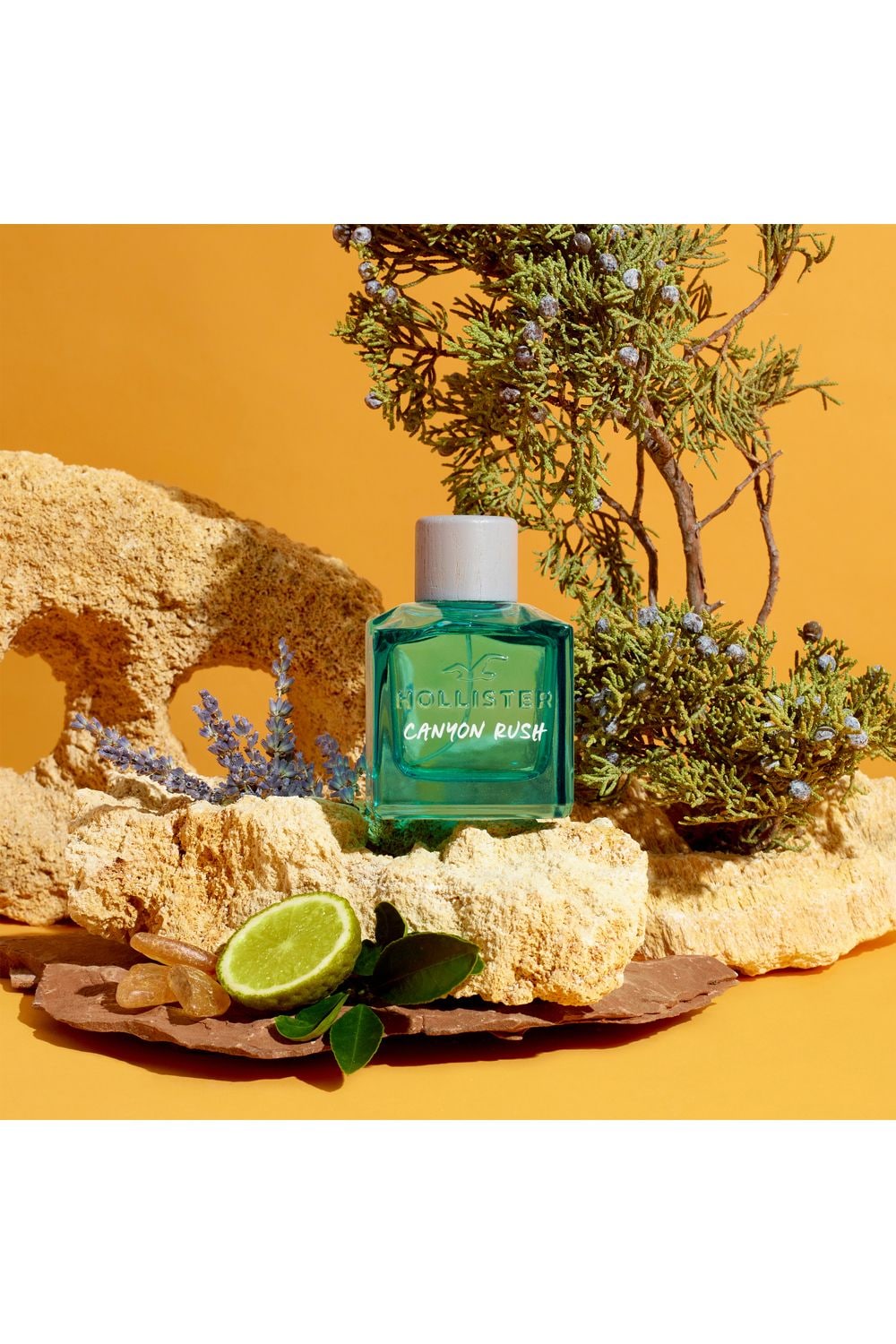 Hollister Canyon Rush for Him Eau de Toilette 100ml Misc image 3