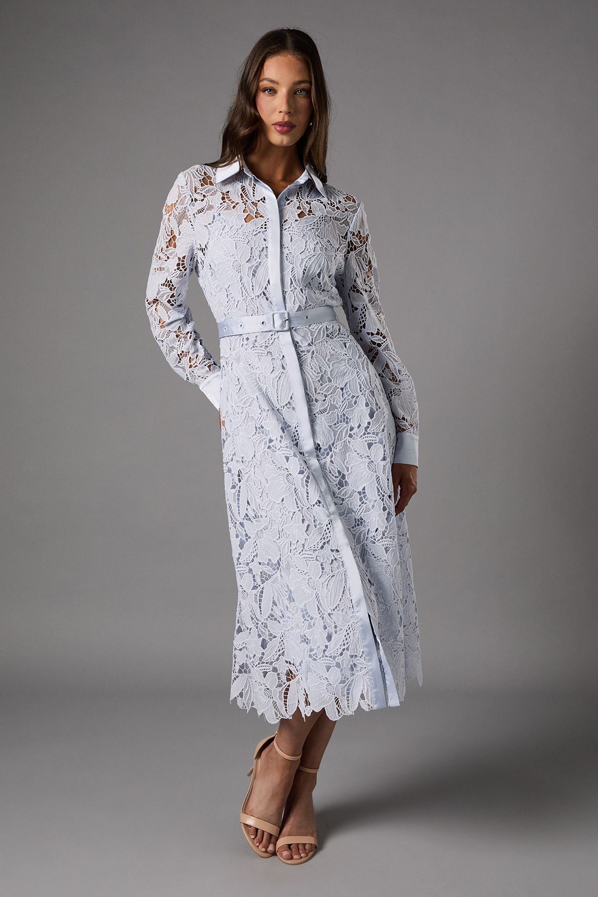 Coast Lace Shirt Dress Light Blue image 1