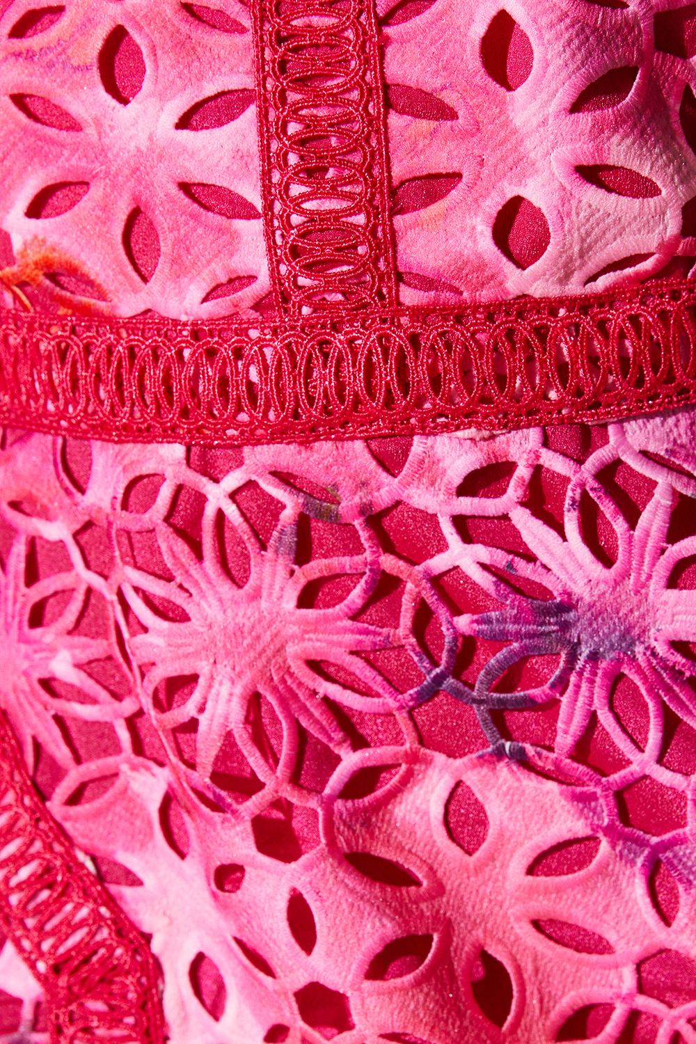 Coast Petite Printed Lace Midi Pencil Dress Pink image 5