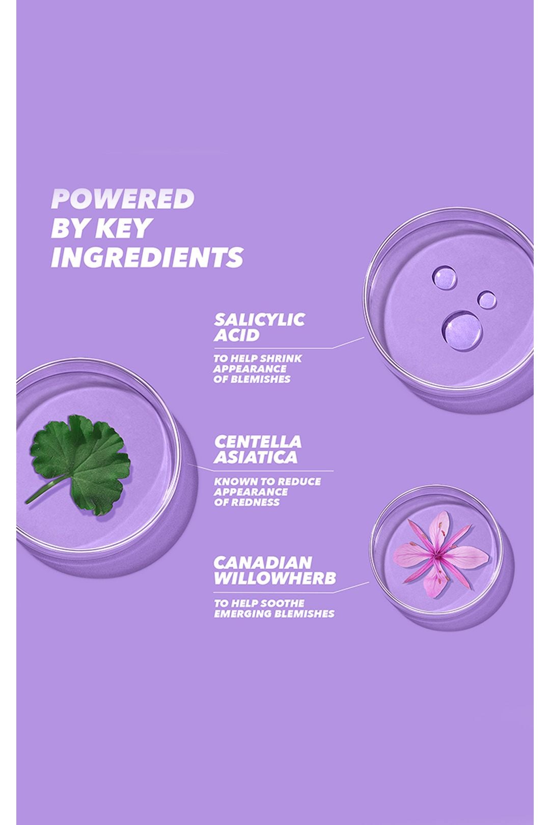 Acnecide Purifide Salicylic Acid Power Spot Stickers 36 Pack Multi image 3