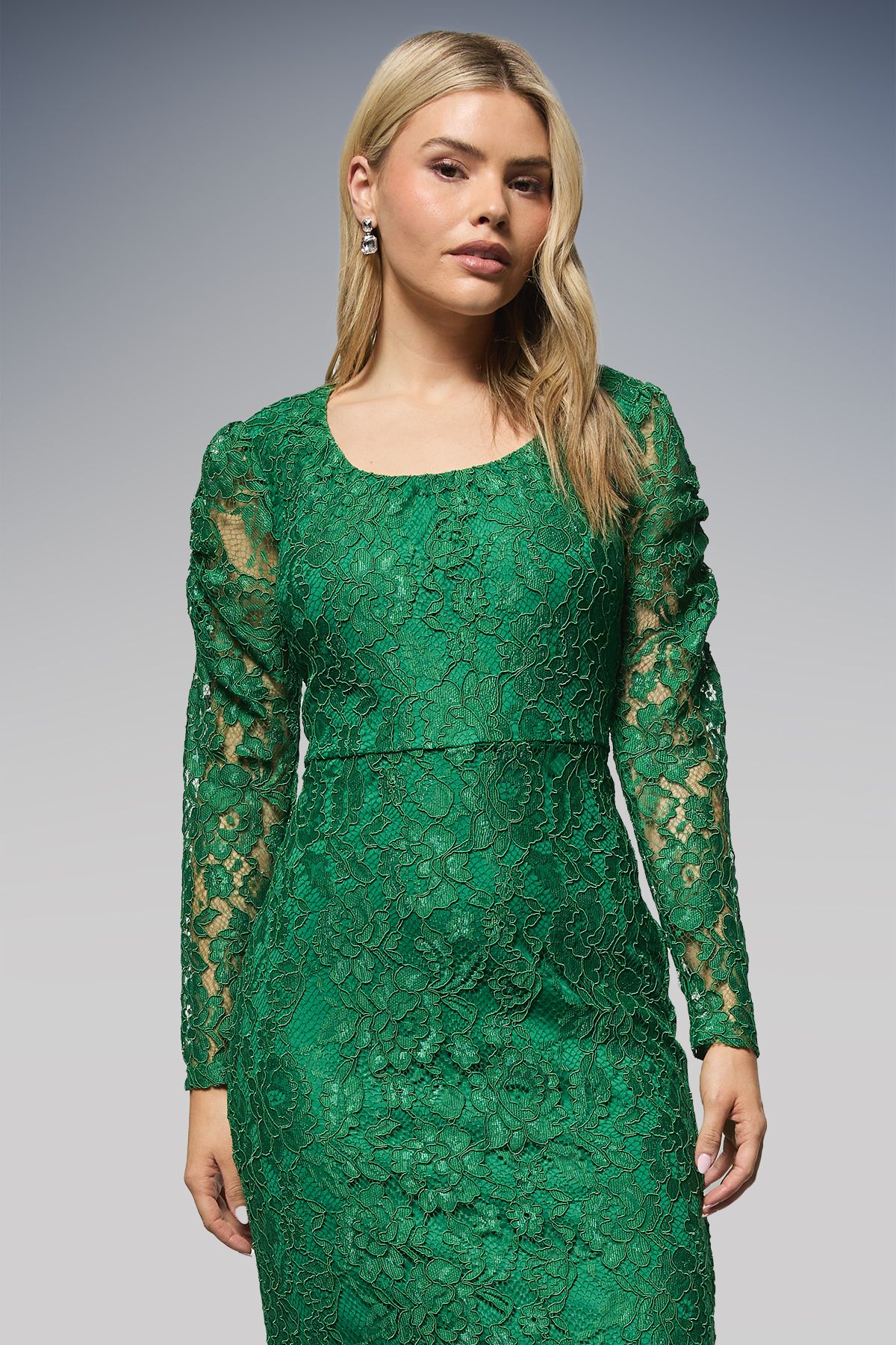 Dorothy Perkins DP Luxe Scoop Neck Lace Pencil Dress Green image 2