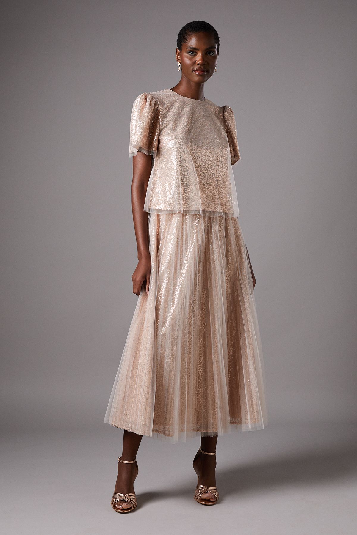 Coast Mesh Tulle Skirt Blush image 1