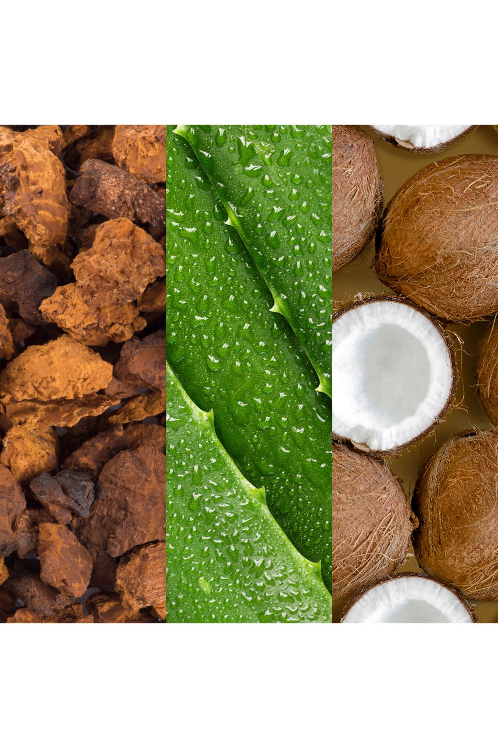 Mario Badescu Facial Spray With Aloe, Adaptogens & Coconut 236ml Multi image 4